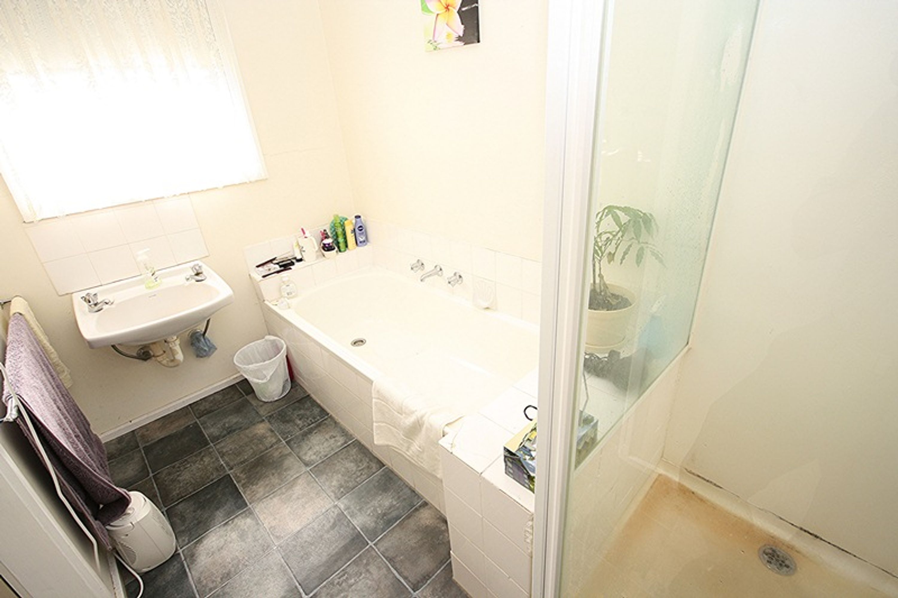 11 Shirley Street, Horsham, VIC 3400, Horsham - Thumbnail 6