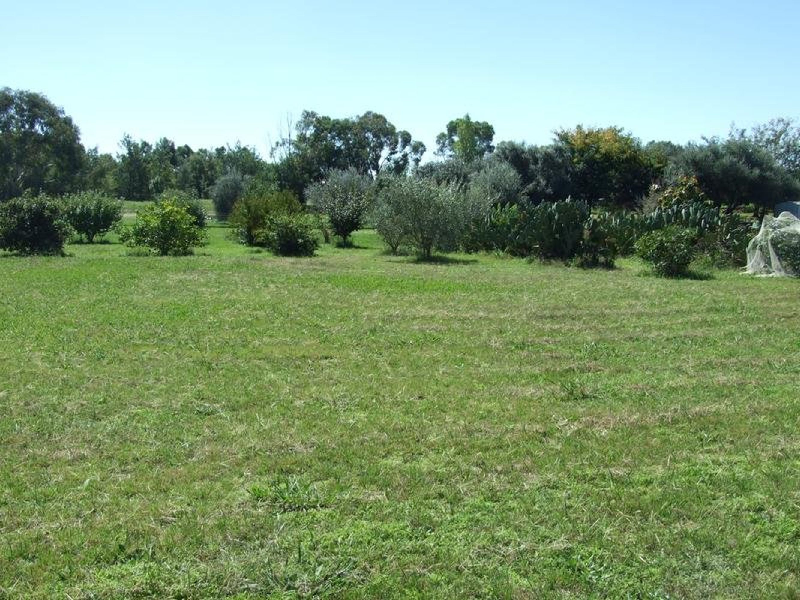wangaratta, Wangaratta - Thumbnail 5