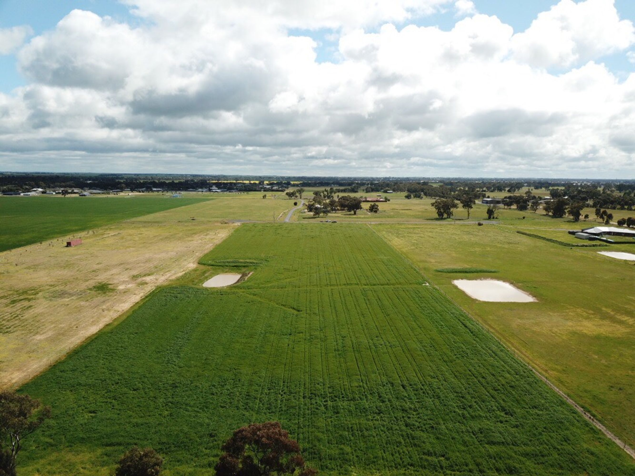 19 Gleeson Lane, Haven VIC 3401, Haven - Thumbnail 4