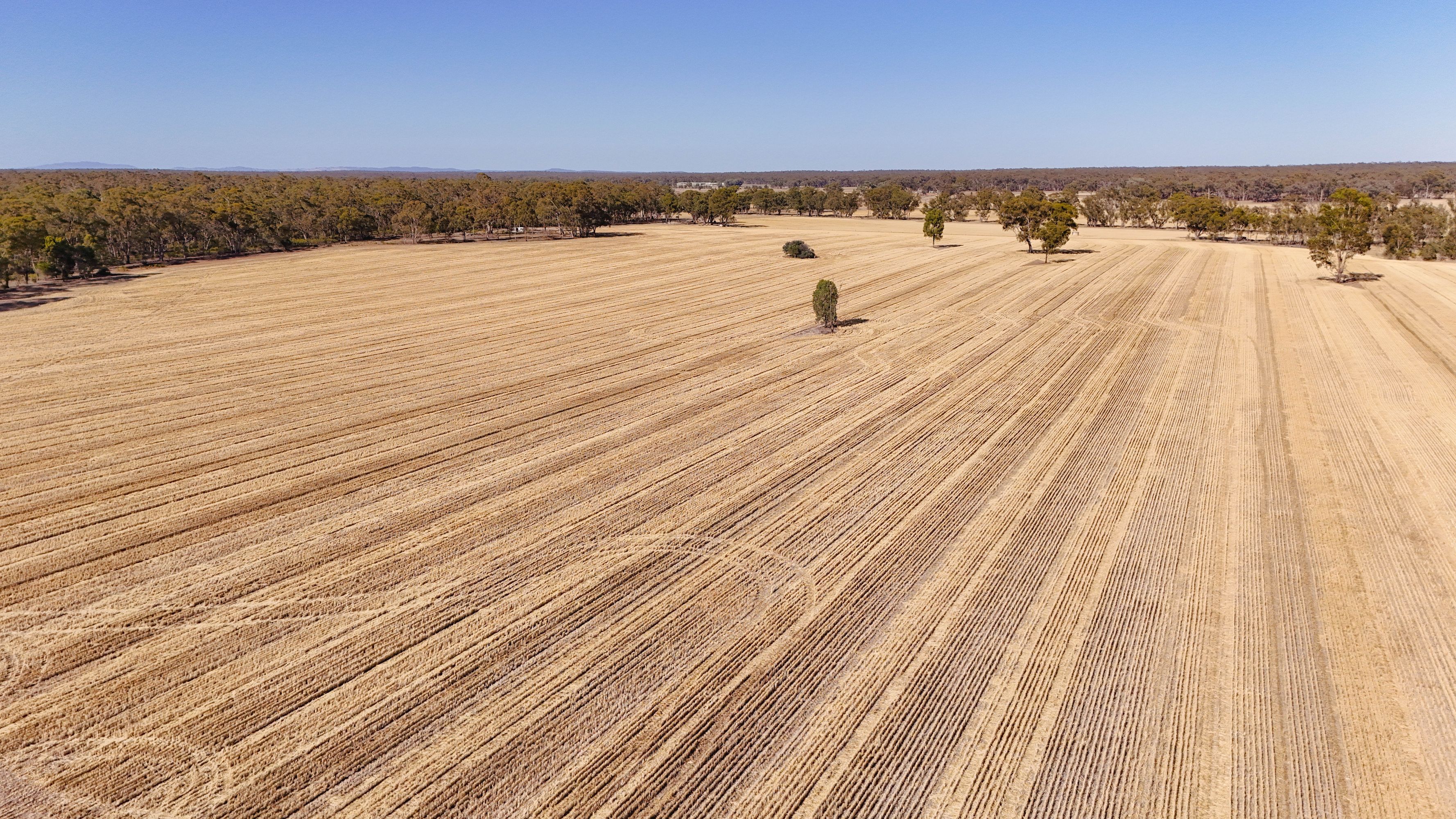 99 Winzar Lane, Goornong, Goornong - Thumbnail 5