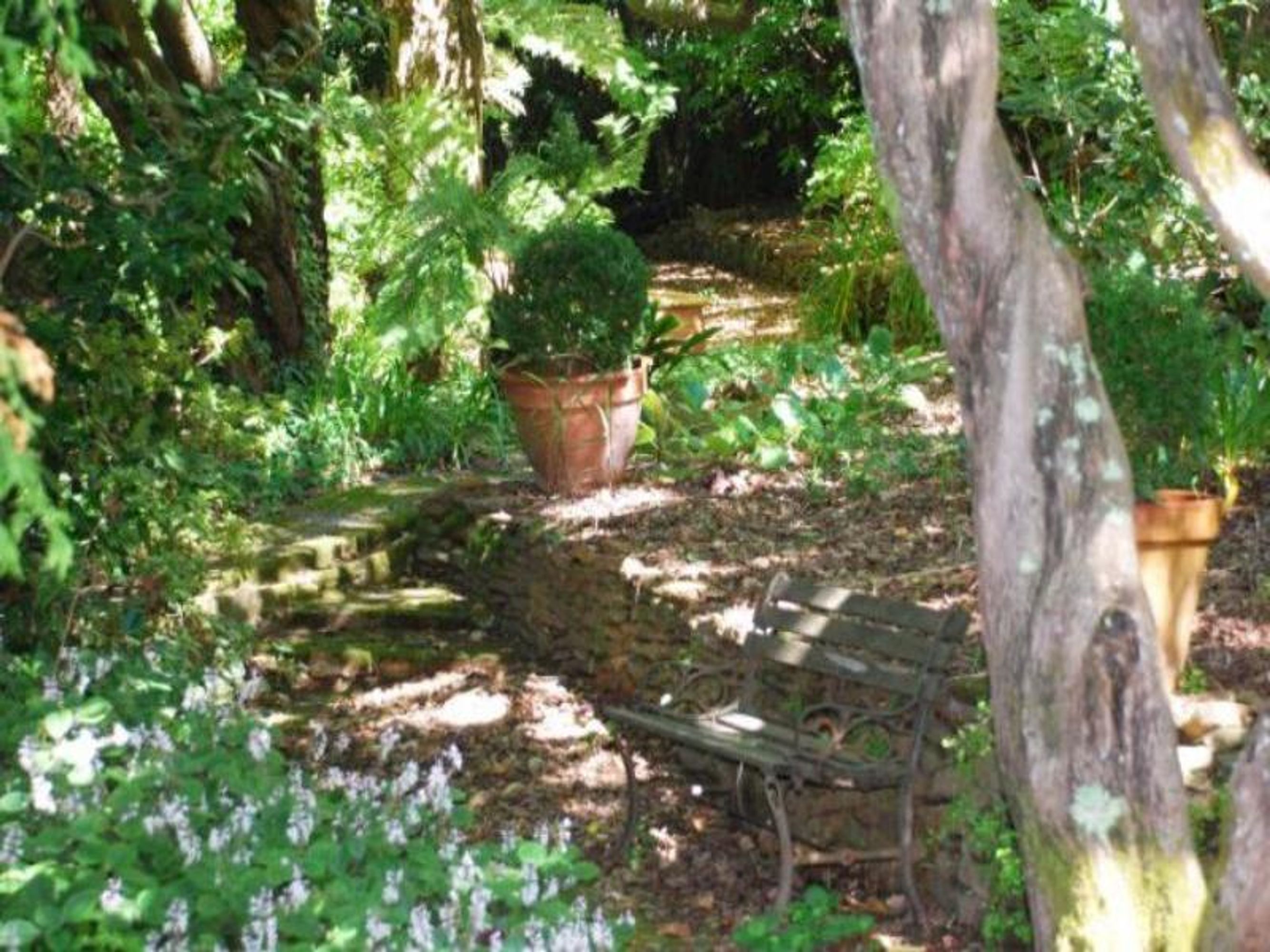 16 Bourne St, Katoomba - Thumbnail 8