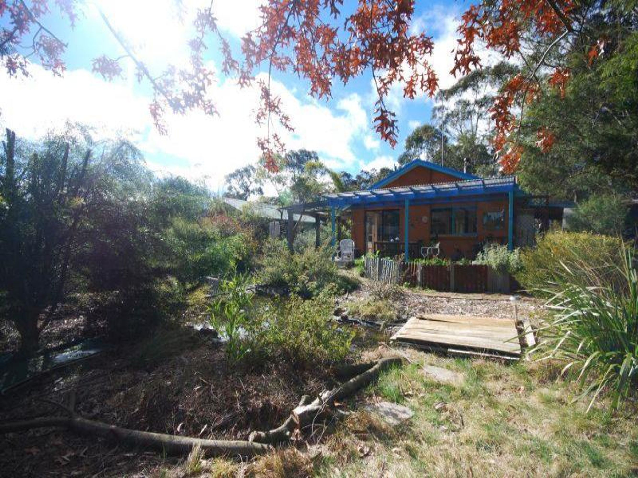 46 Mort St, Katoomba - Thumbnail 3