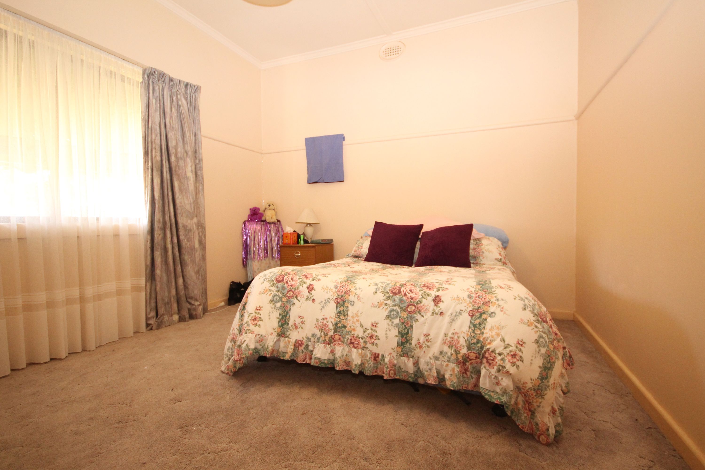 14 Valentine Avenue, Horsham VIC 3400, Horsham - Thumbnail 3