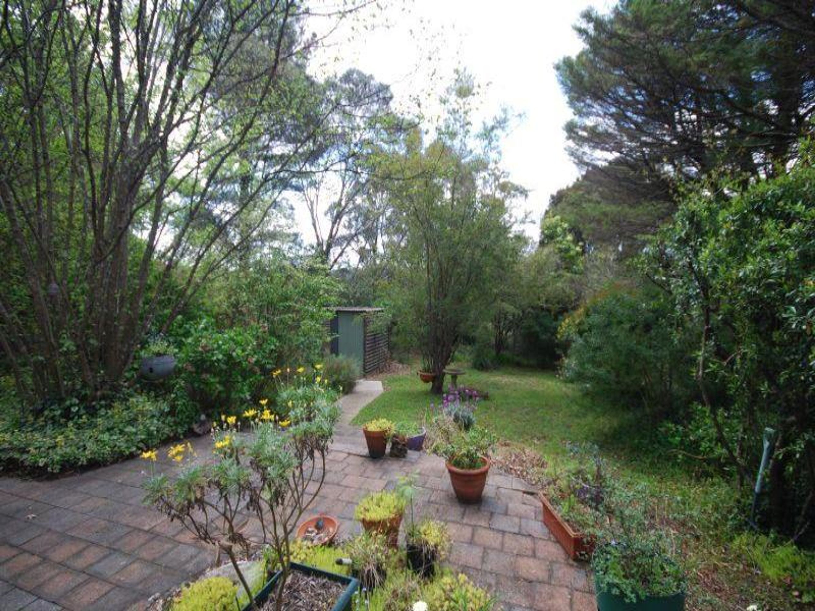 15 West St, Leura - Thumbnail 6