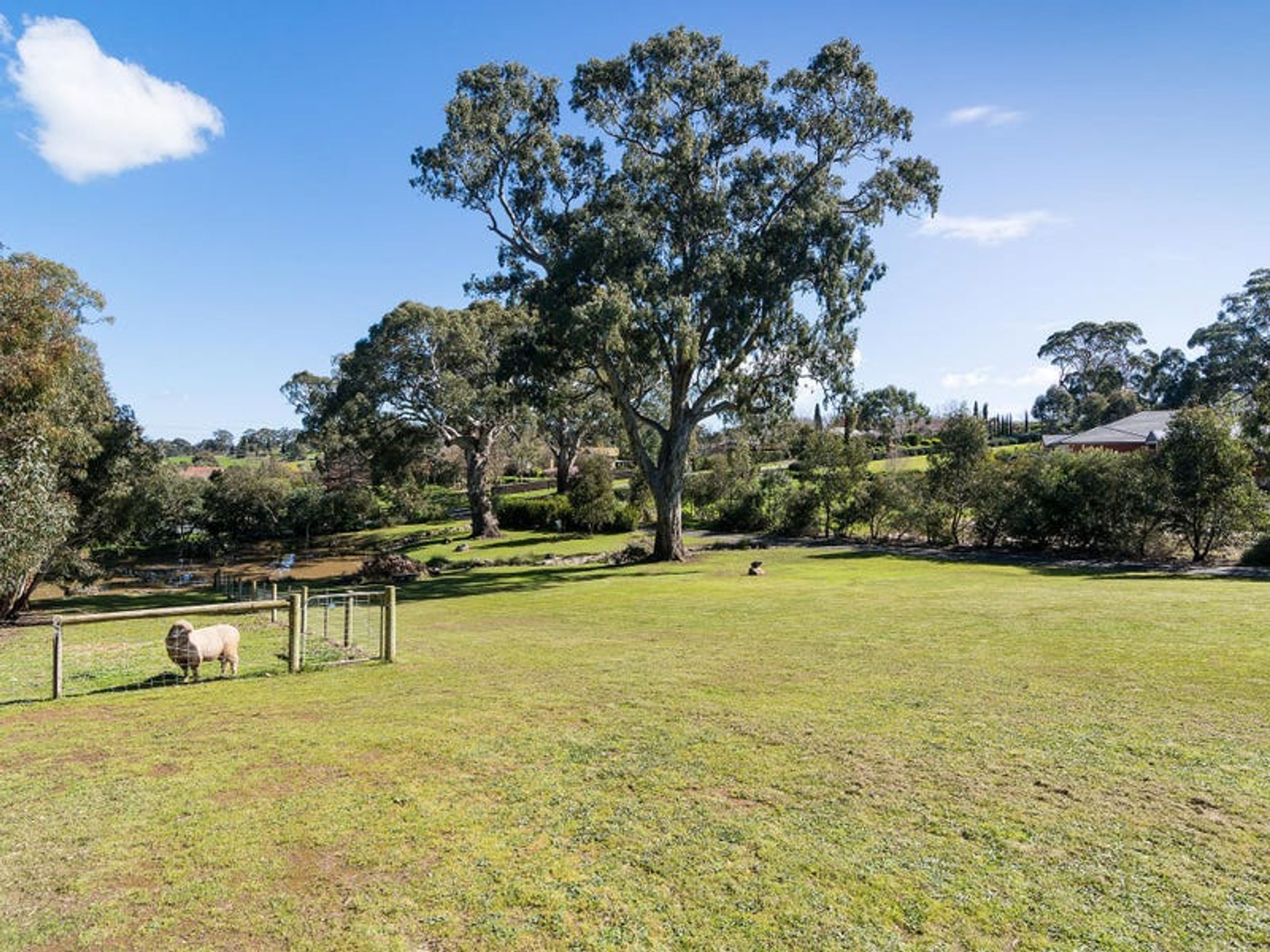 28 Joseph Road, Blakiston, SA 5250, Blakiston - Thumbnail 5