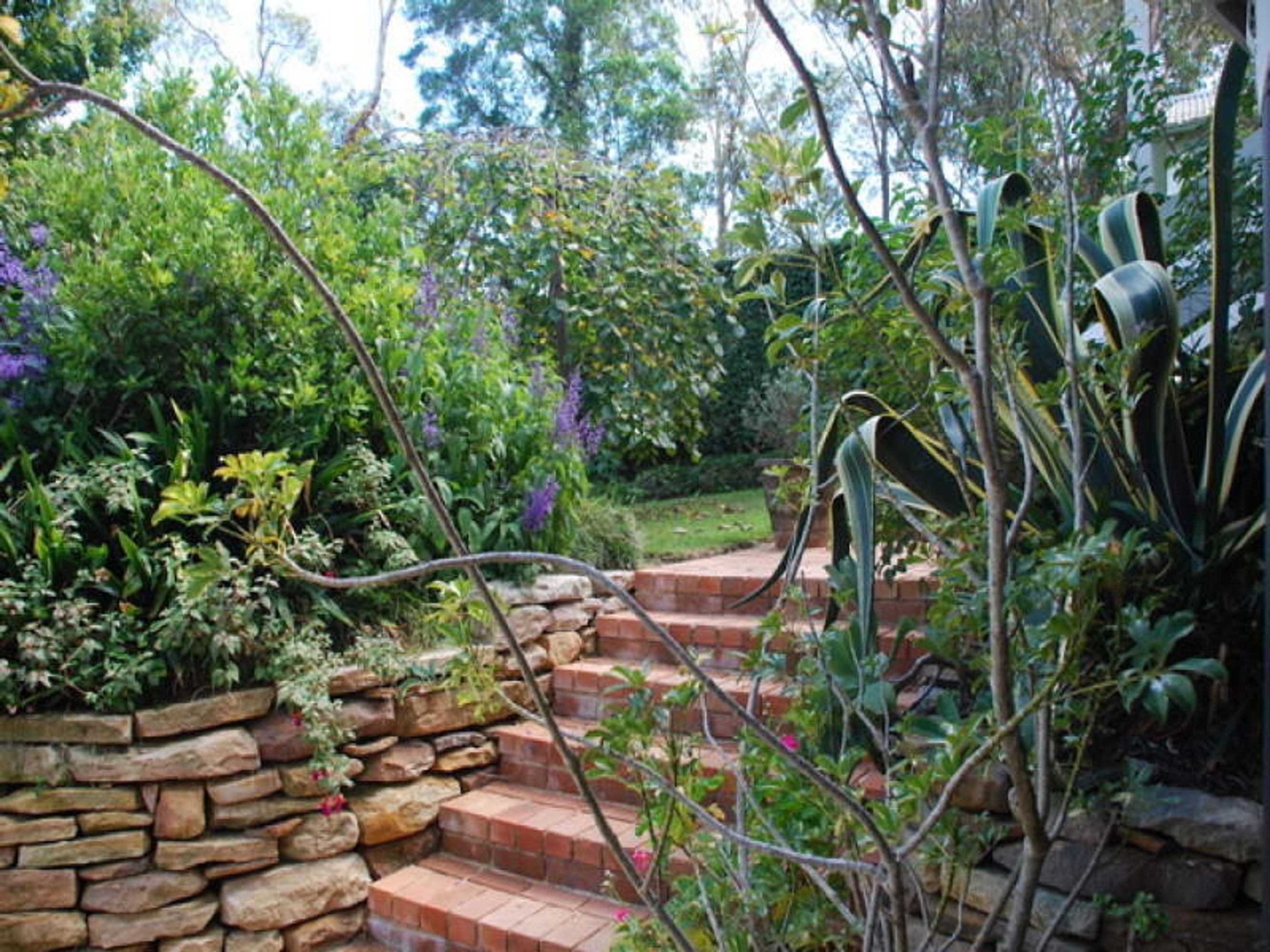 66 Valley Road, Hazelbrook - Thumbnail 3