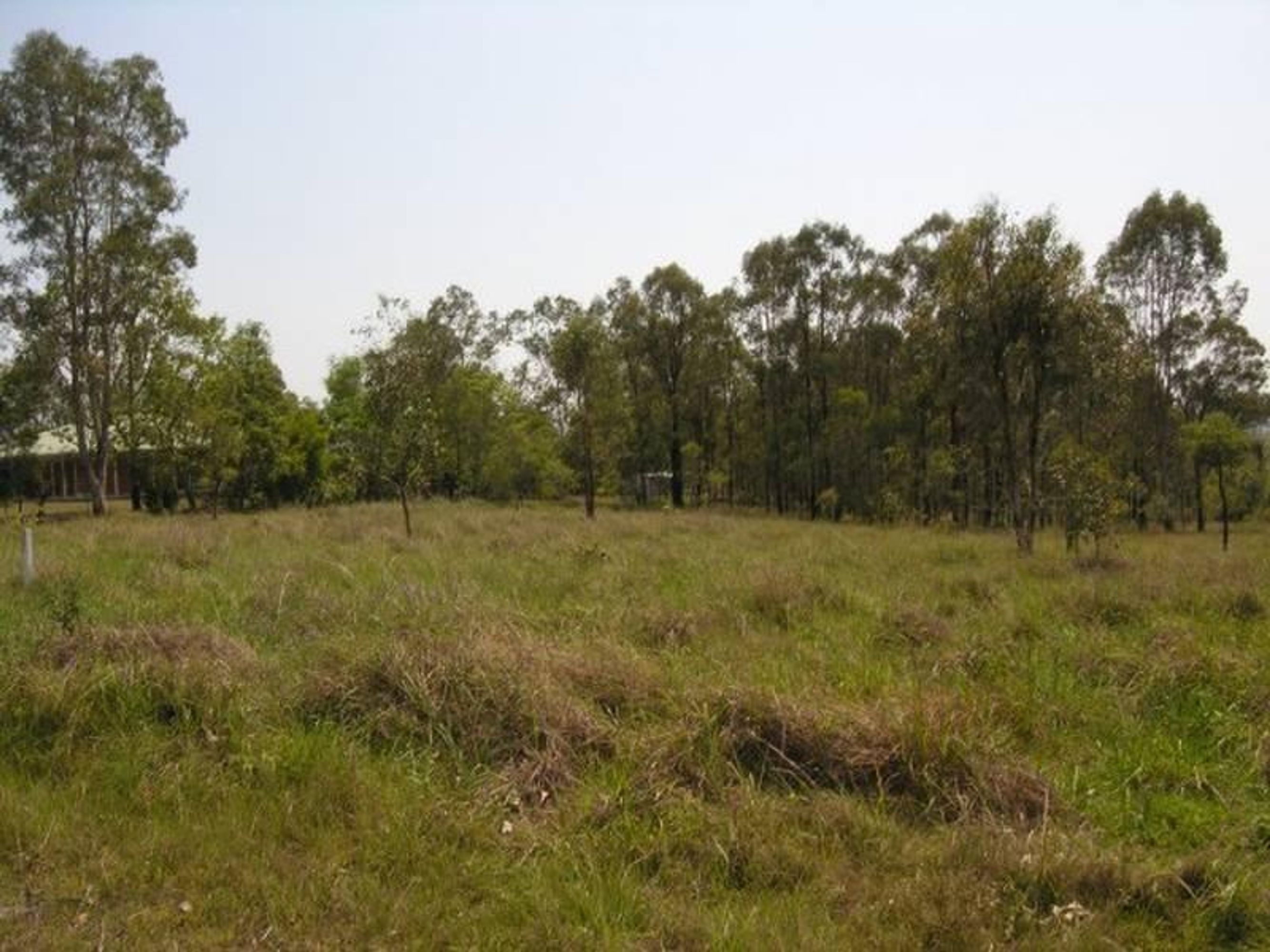 30 Hampton Road, Waterview Heights - Thumbnail 4