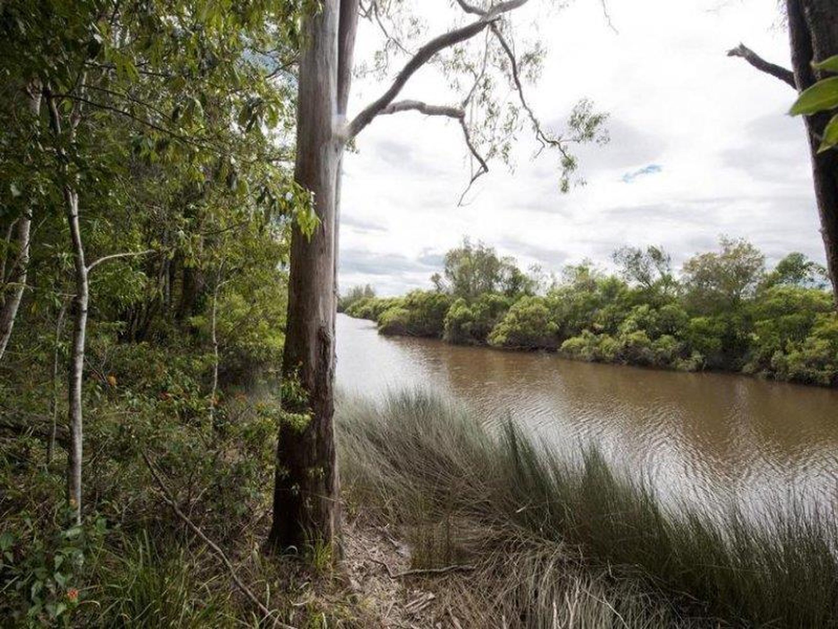 95 Sunnyside Road, Glenugie - Image 1