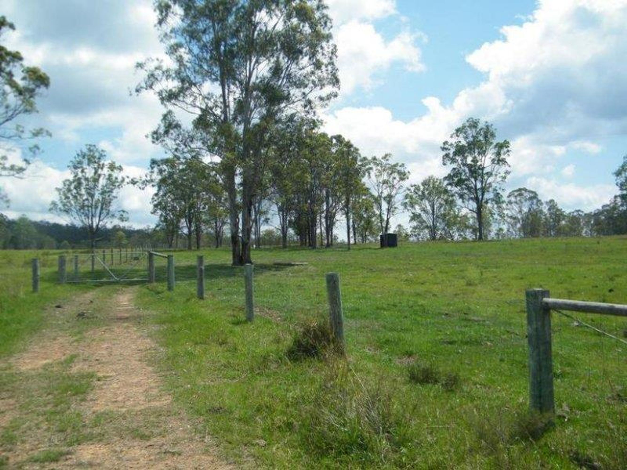 335/335/Lot 335, 450 Greberts Road, Whiteman Creek - Thumbnail 3