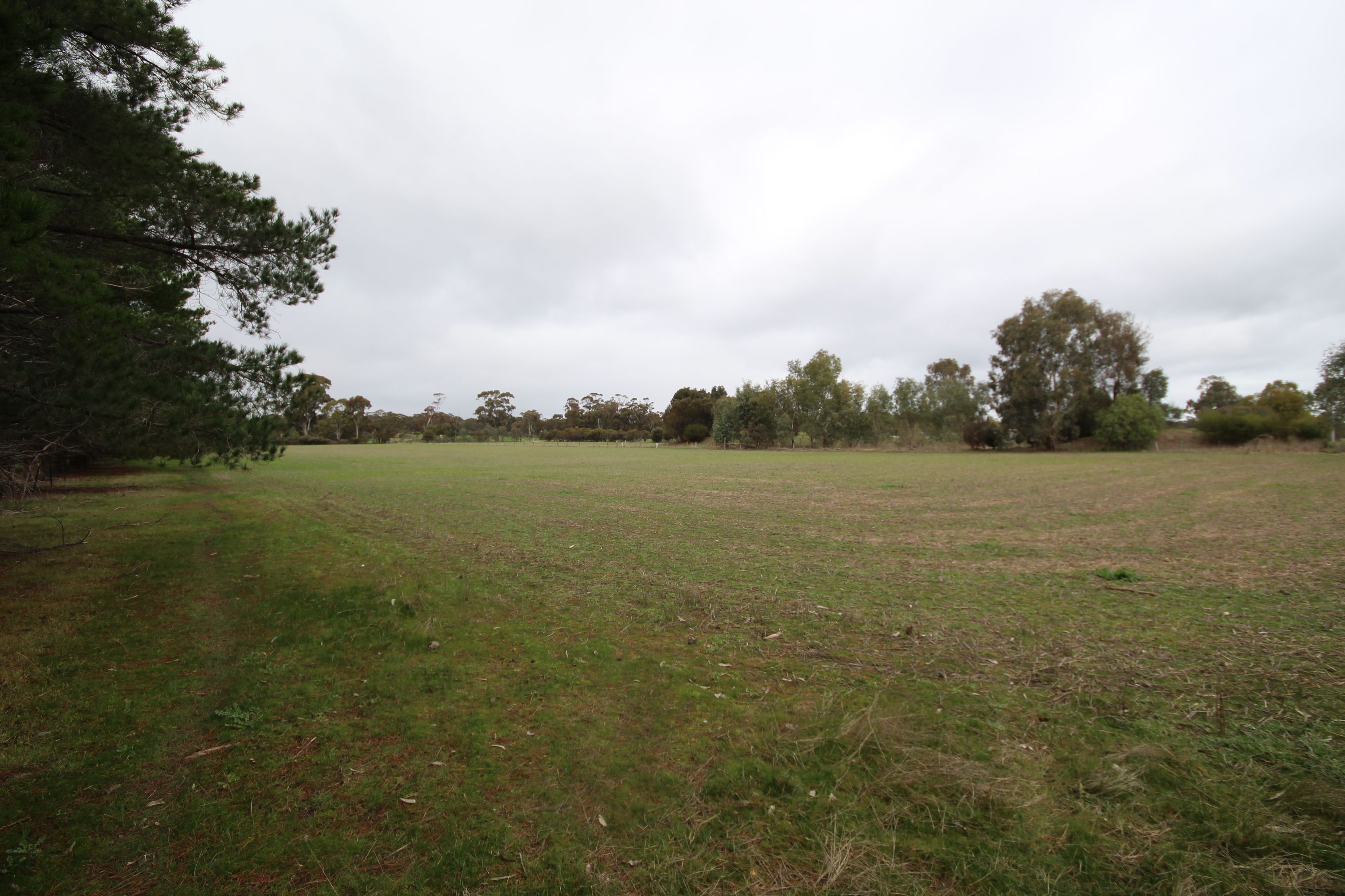 98 Murray Road, Carapooee VIC 3477, Carapooee - Thumbnail 8