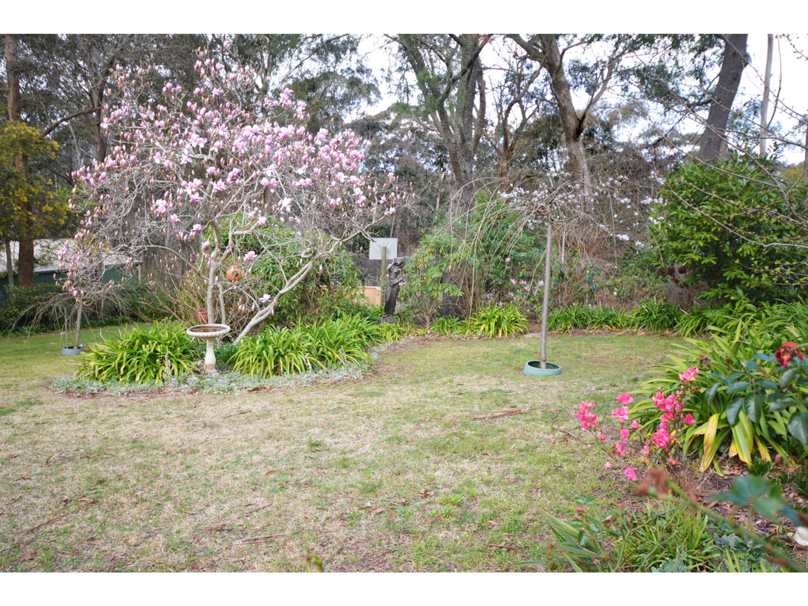 31 Seventh Avenue, Katoomba - Thumbnail 8