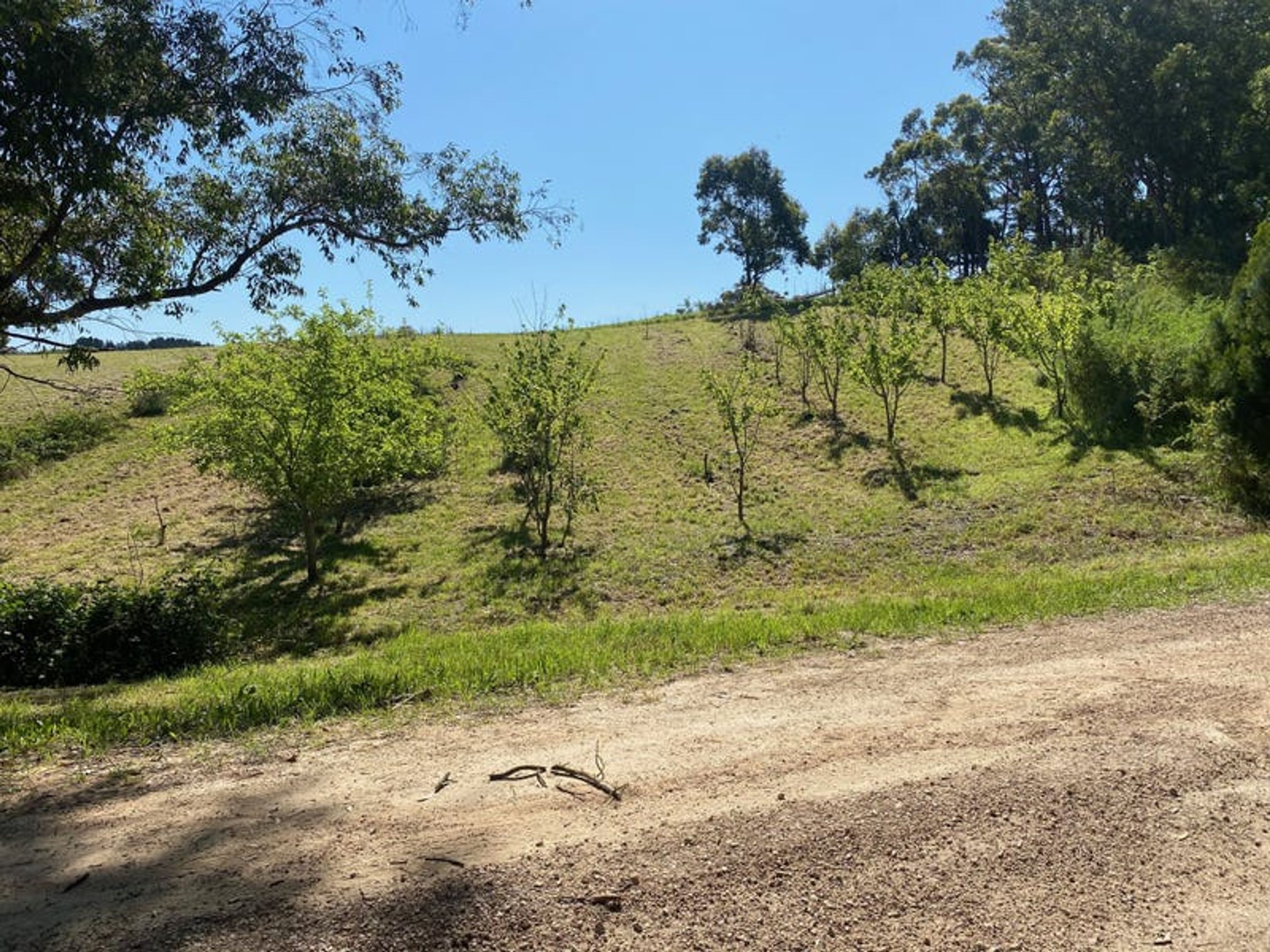Lot 211 Sharps Road, Carey Gully, SA 5144, Carey Gully - Thumbnail 6