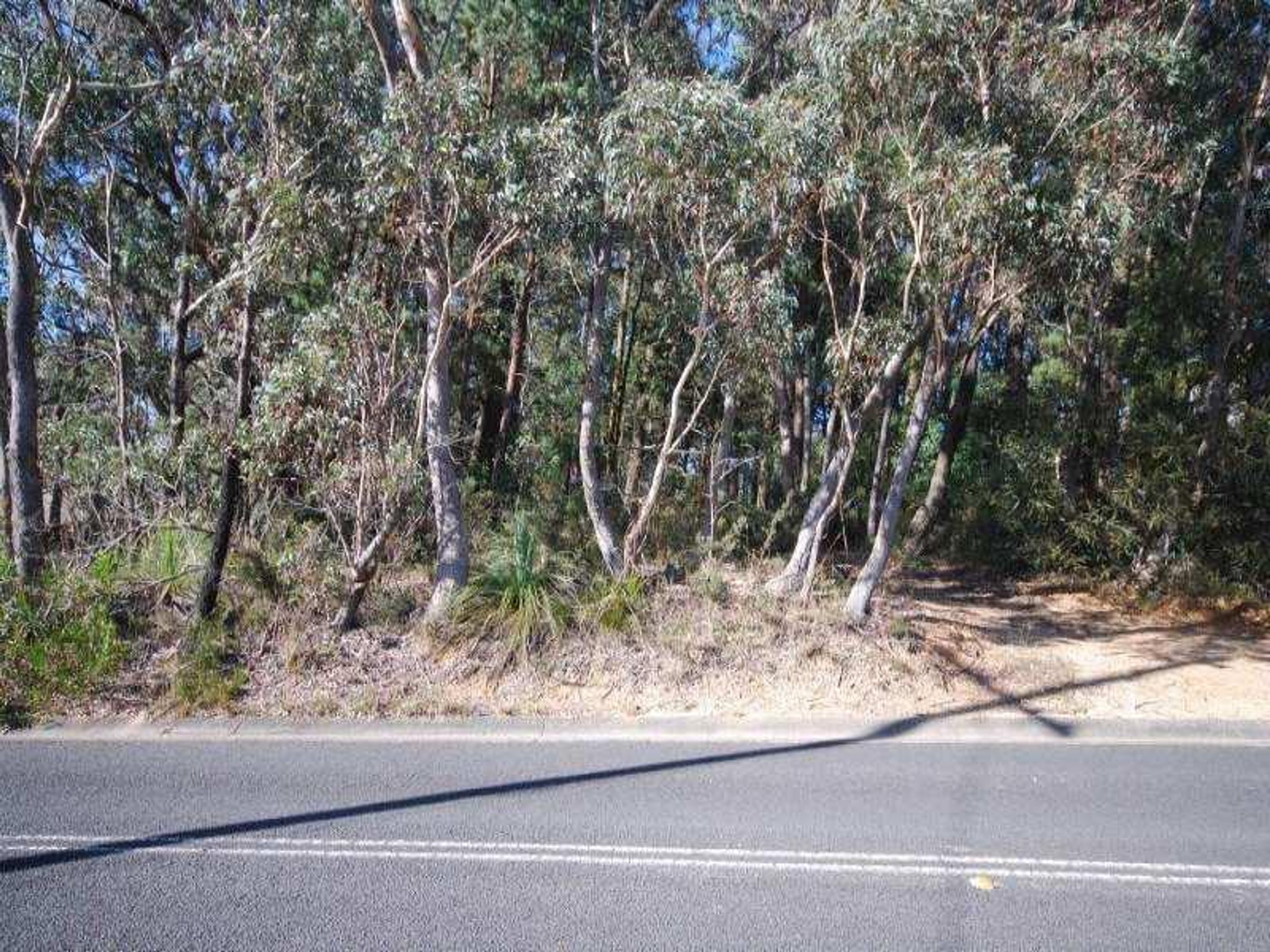 45 Second Avenue, Katoomba - Thumbnail 6