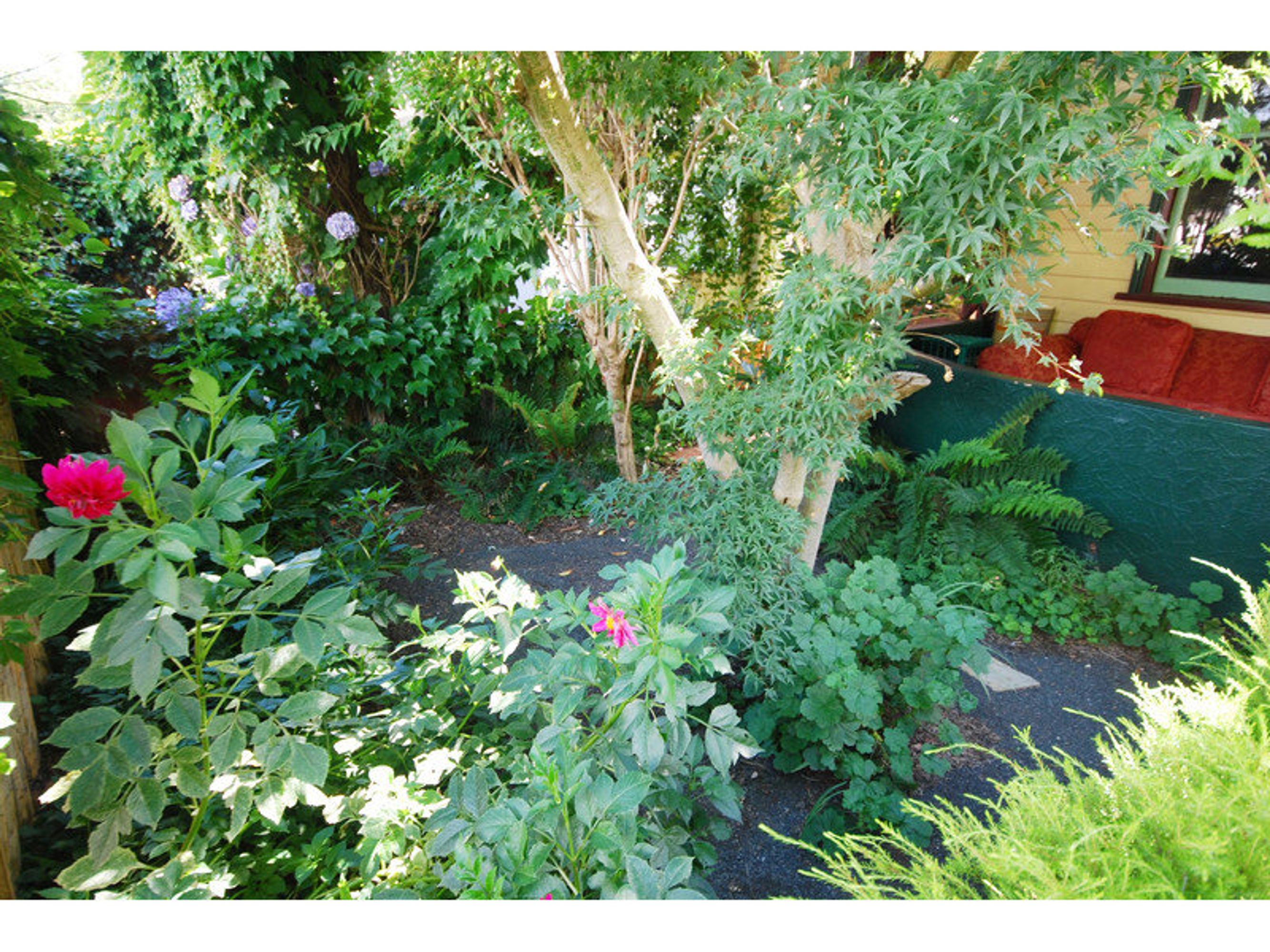 97 Lurline Street, Katoomba - Thumbnail 6