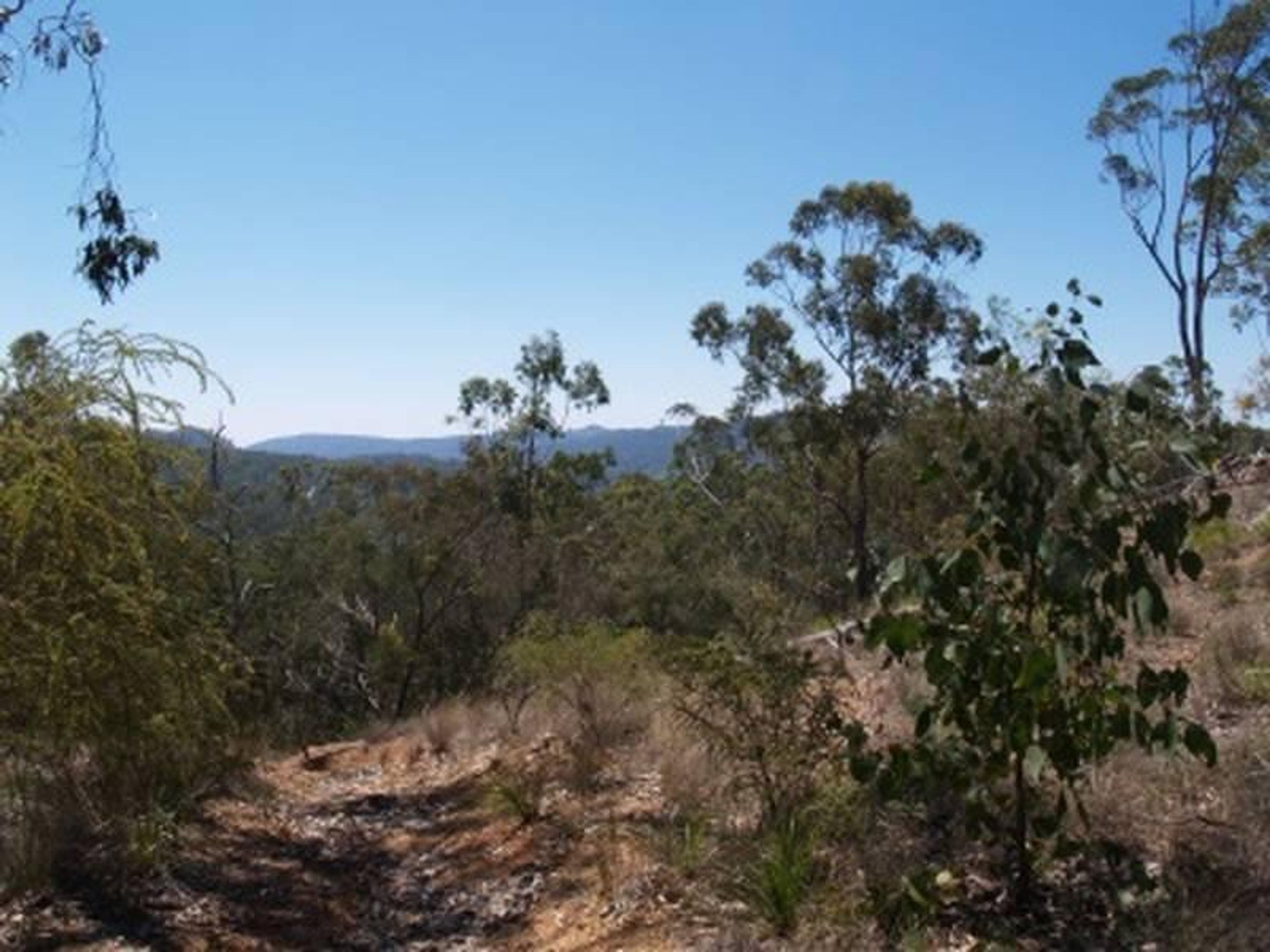 72 Martin Road, Nymboida - Thumbnail 4