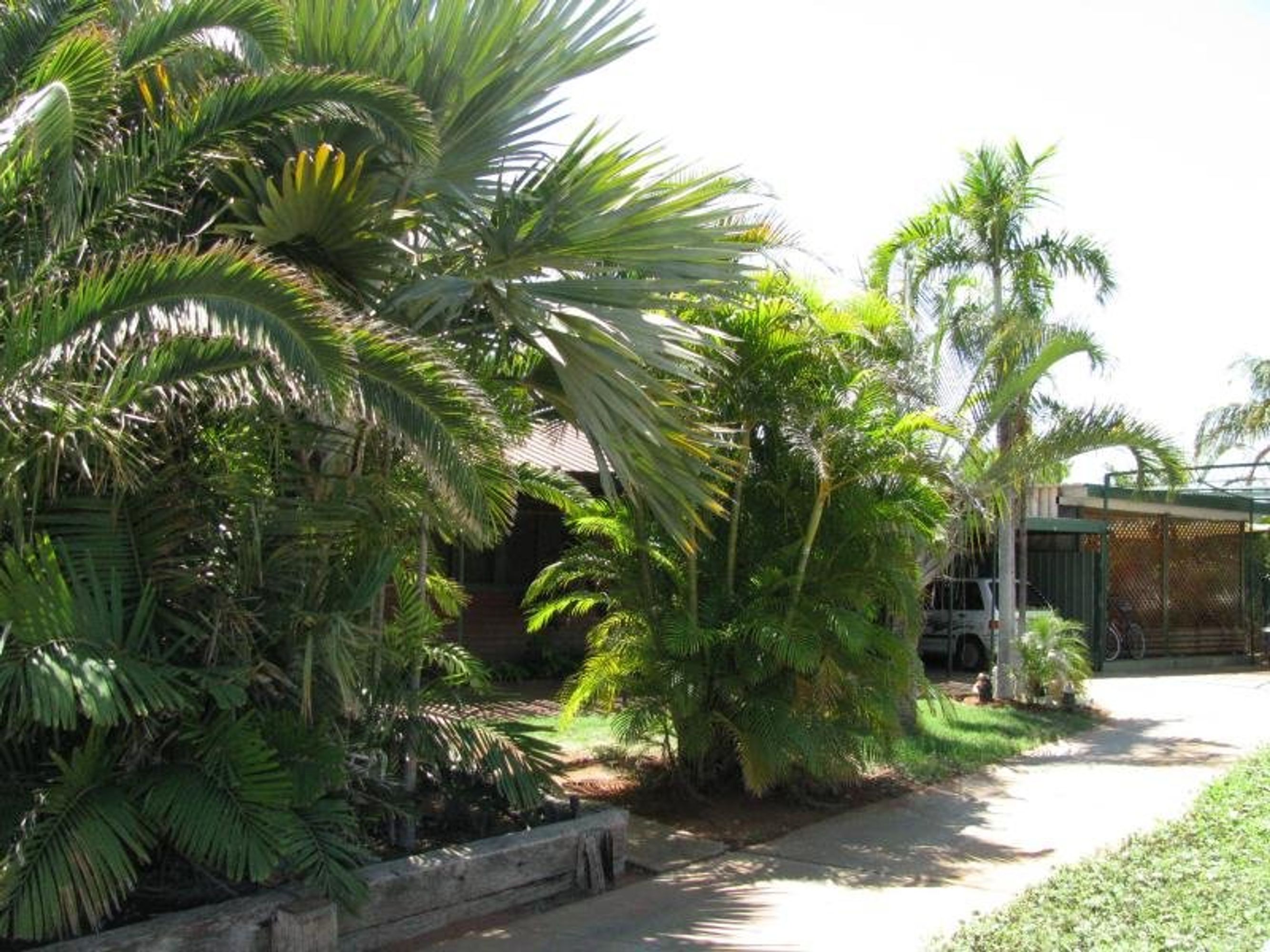 76 Bottlebrush Crescent, South Hedland, South Hedland - Thumbnail 4