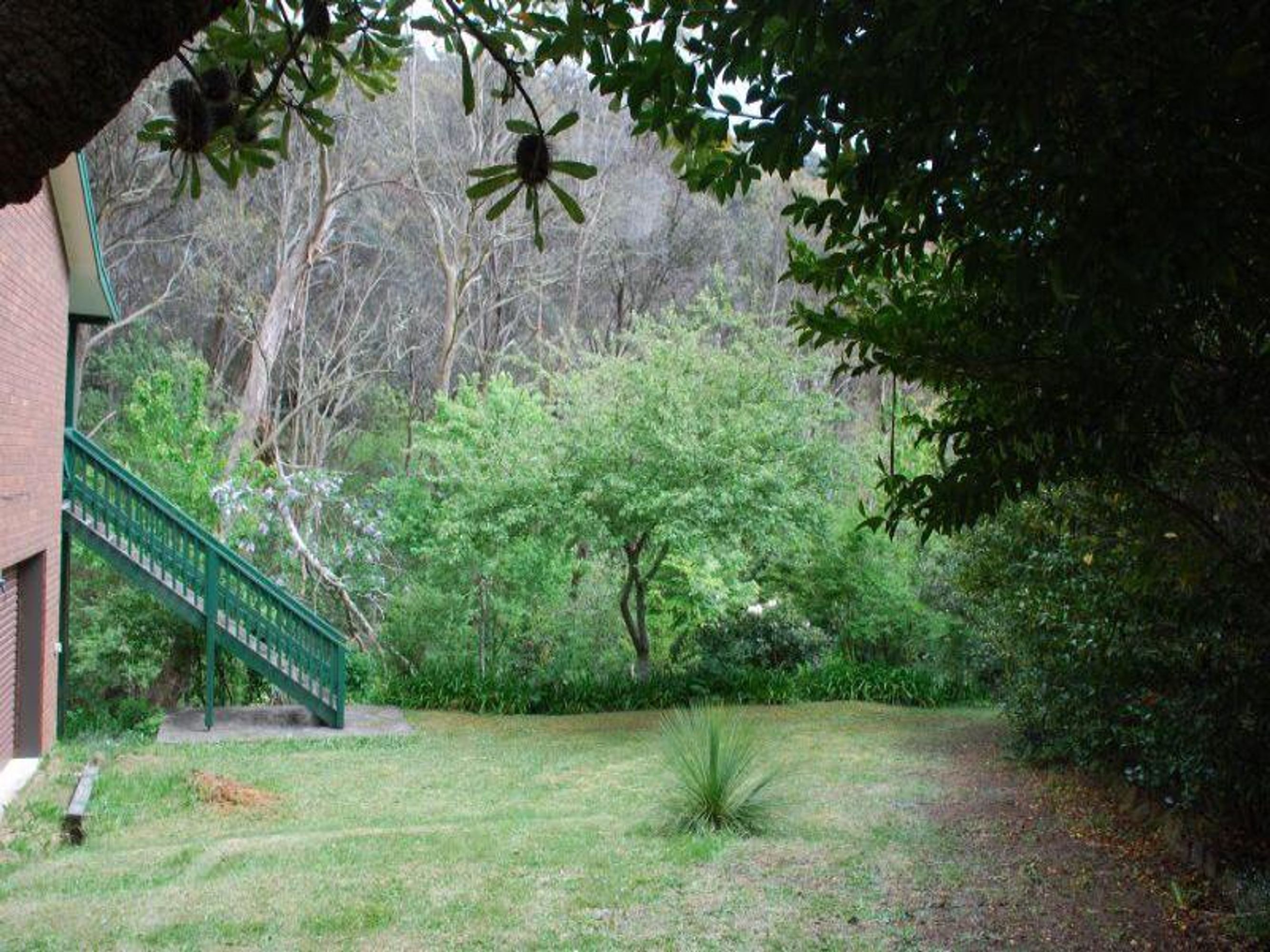 68 Mount St, Leura - Thumbnail 6
