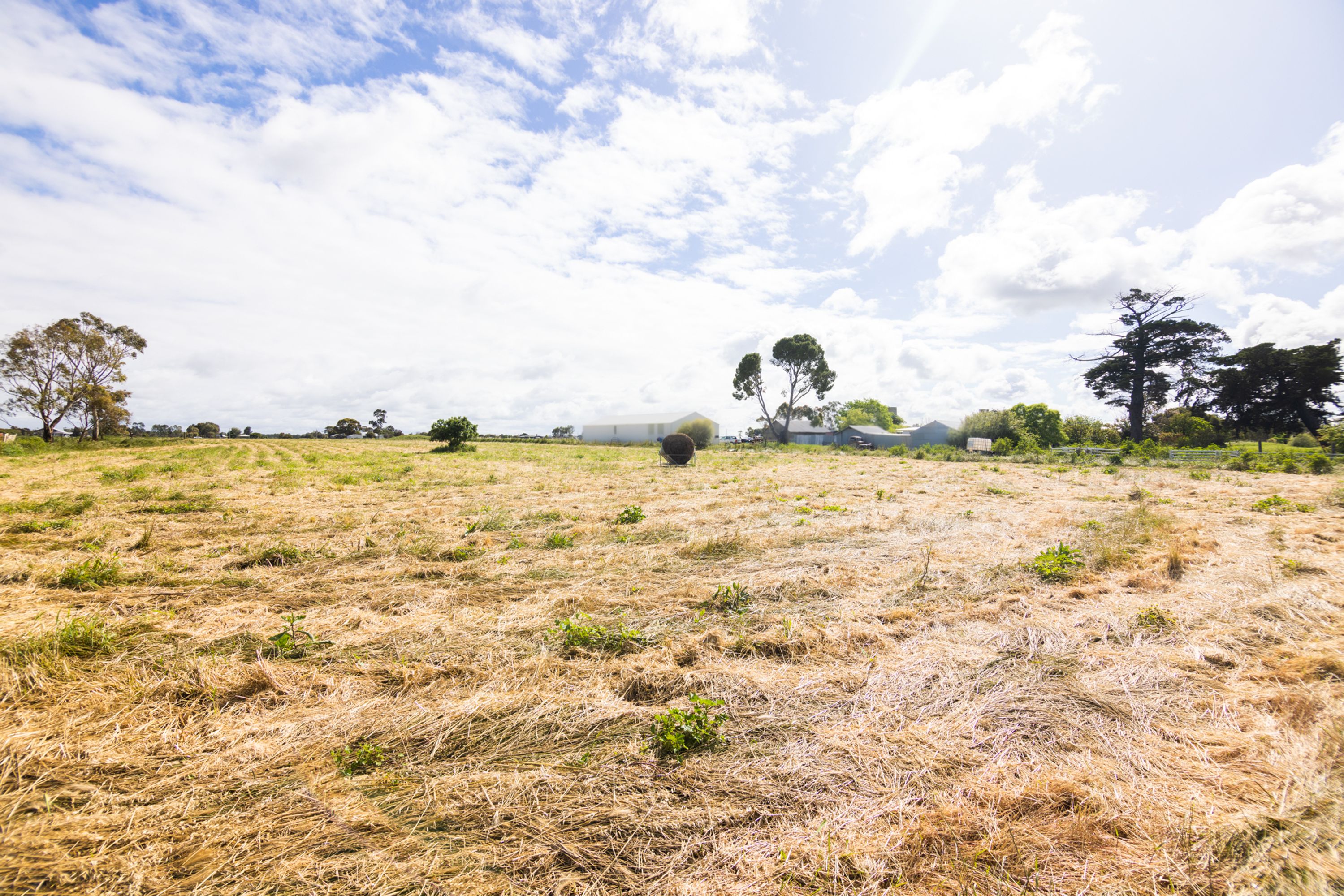 195 Browns Road, Riverside VIC 3401, Riverside - Thumbnail 5