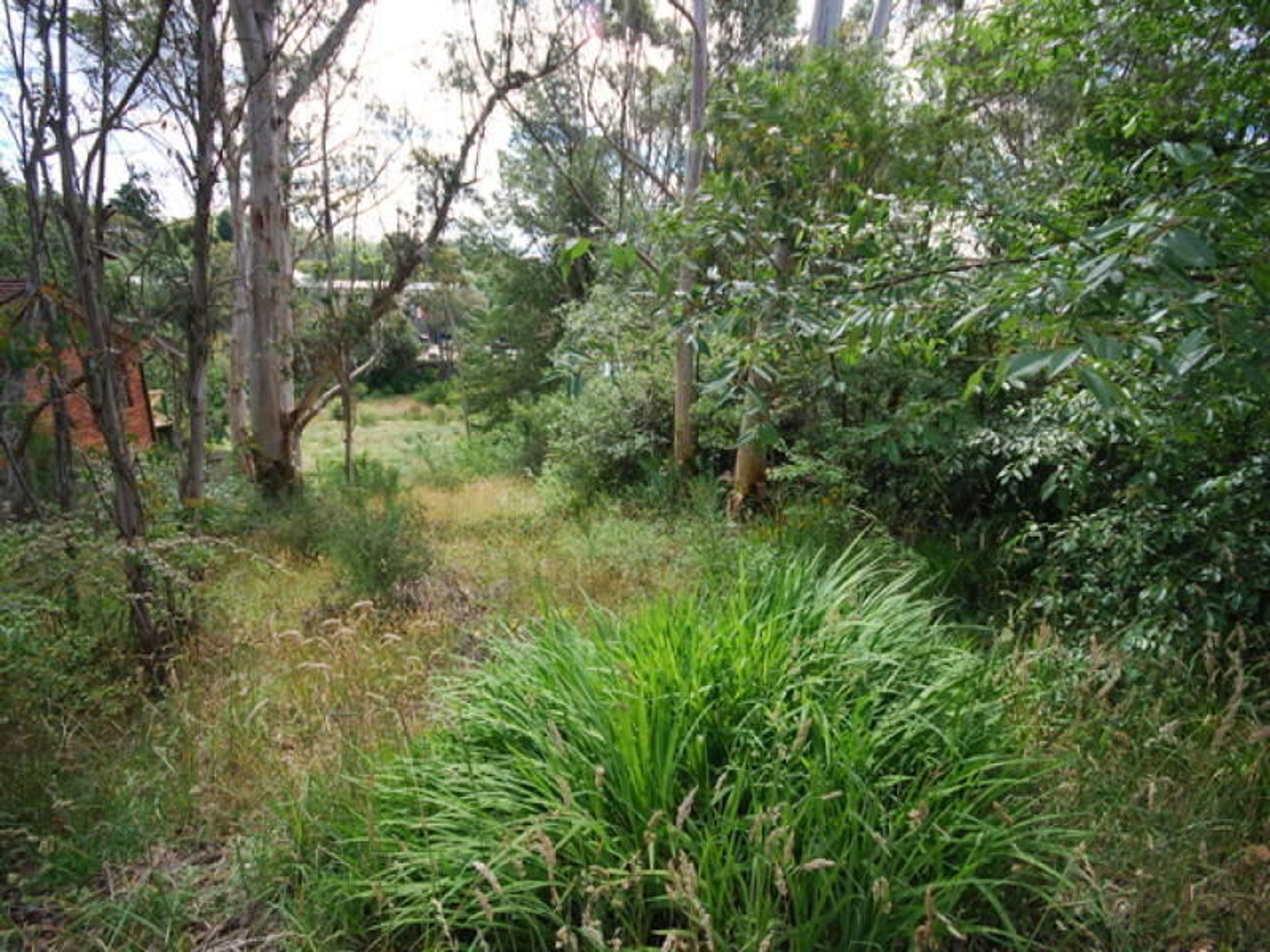27A/27A Freelander Avenue, Katoomba - Thumbnail 3