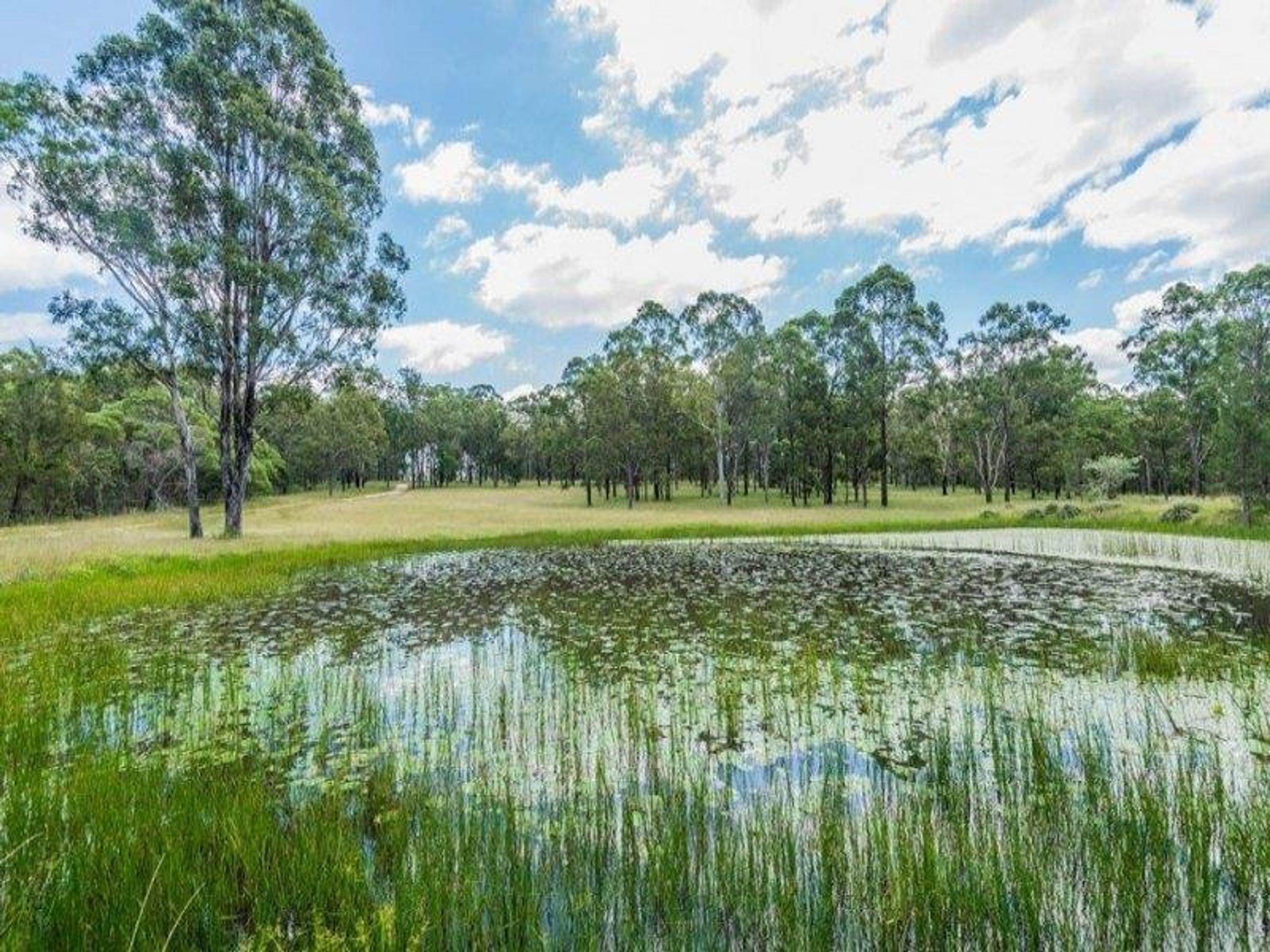262 Sandy Swamp Road, Coutts Crossing - Thumbnail 3