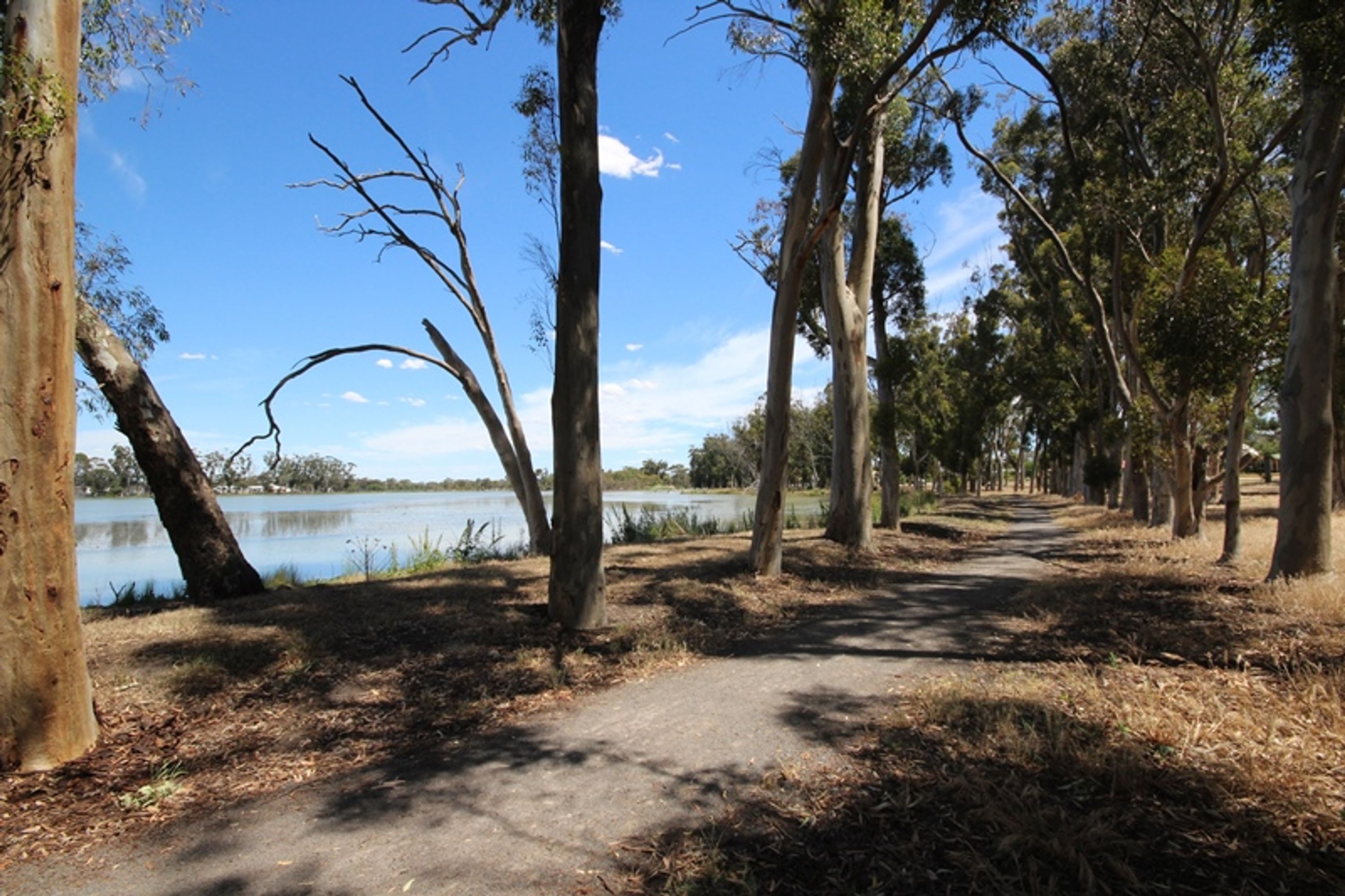 36 McClintock Street, Murtoa VIC 3390, Murtoa - Thumbnail 5