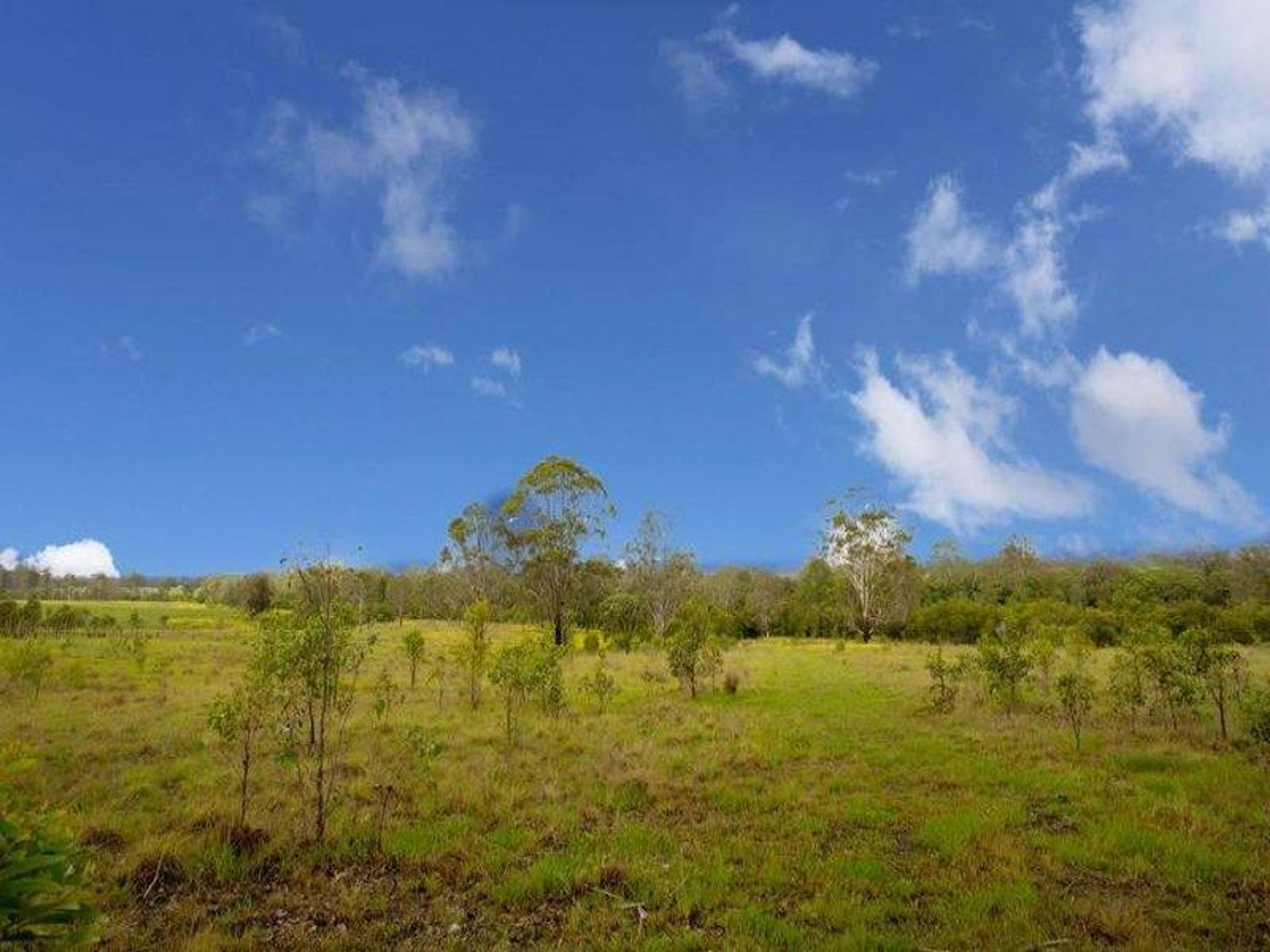 1160 Rushforth Road, Rushforth - Thumbnail 3