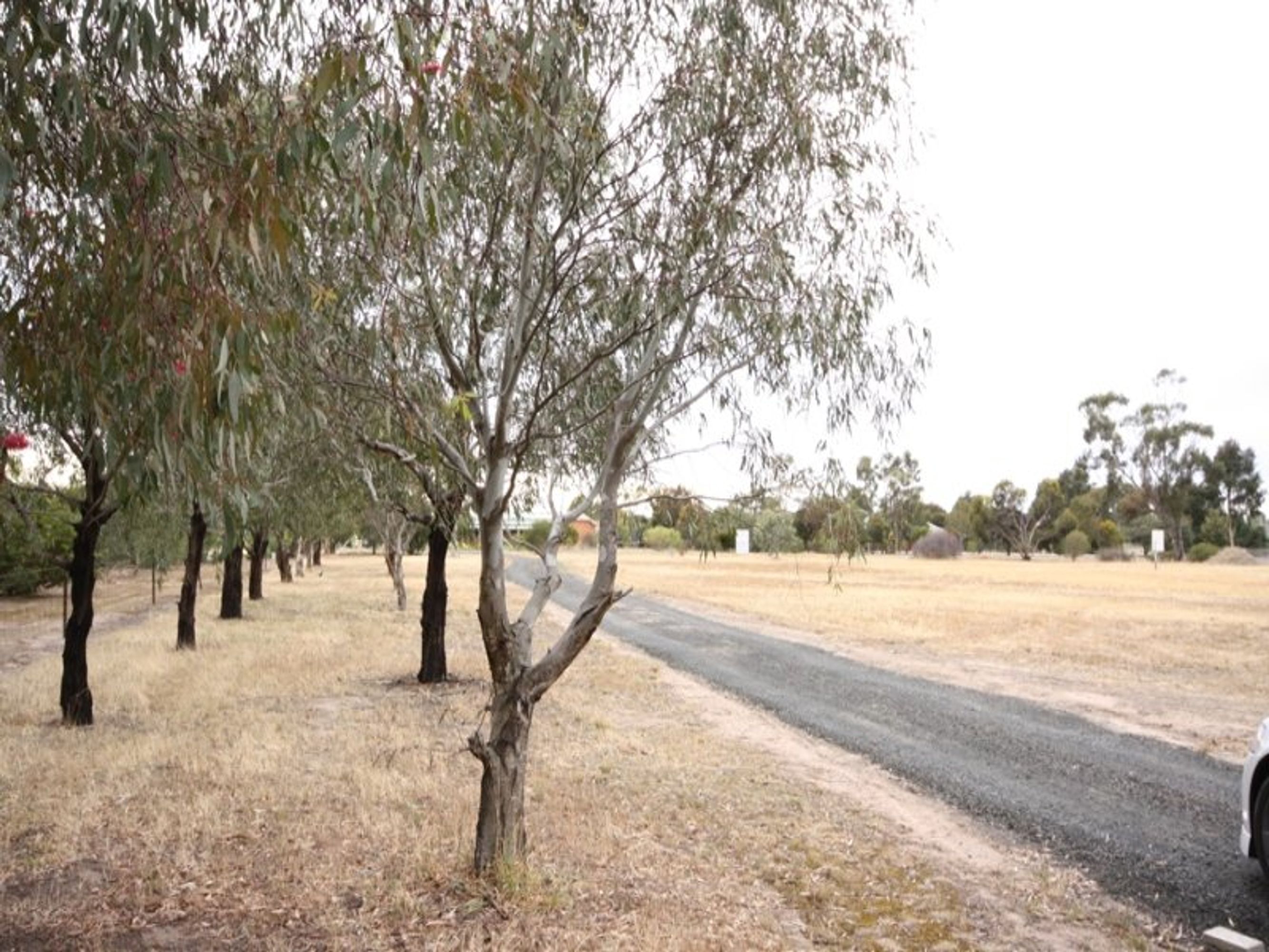 216 Grahams Bridge Road, Haven VIC 3401, Haven - Thumbnail 3