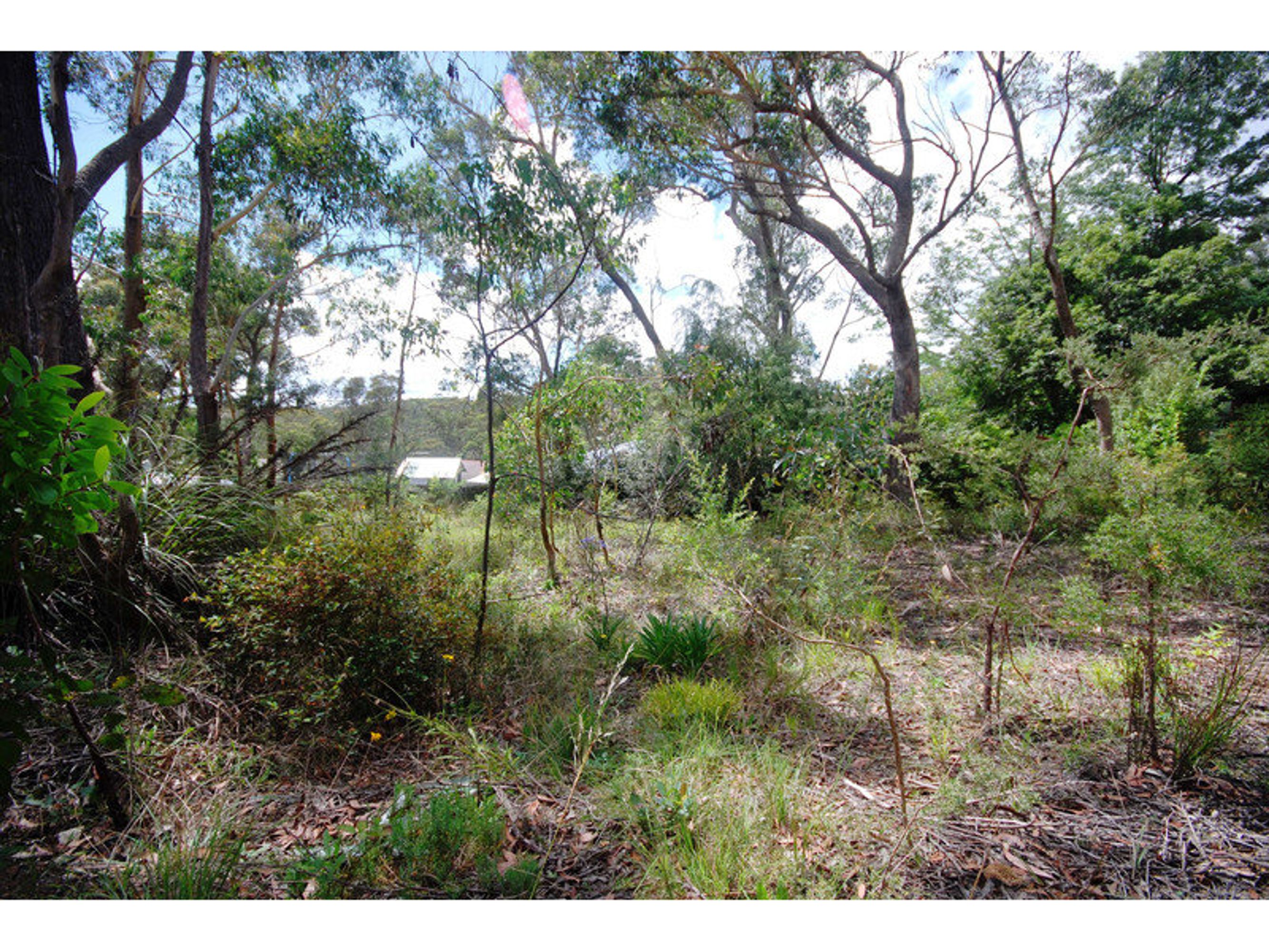 87 Minni Ha Ha Road, Katoomba - Thumbnail 3