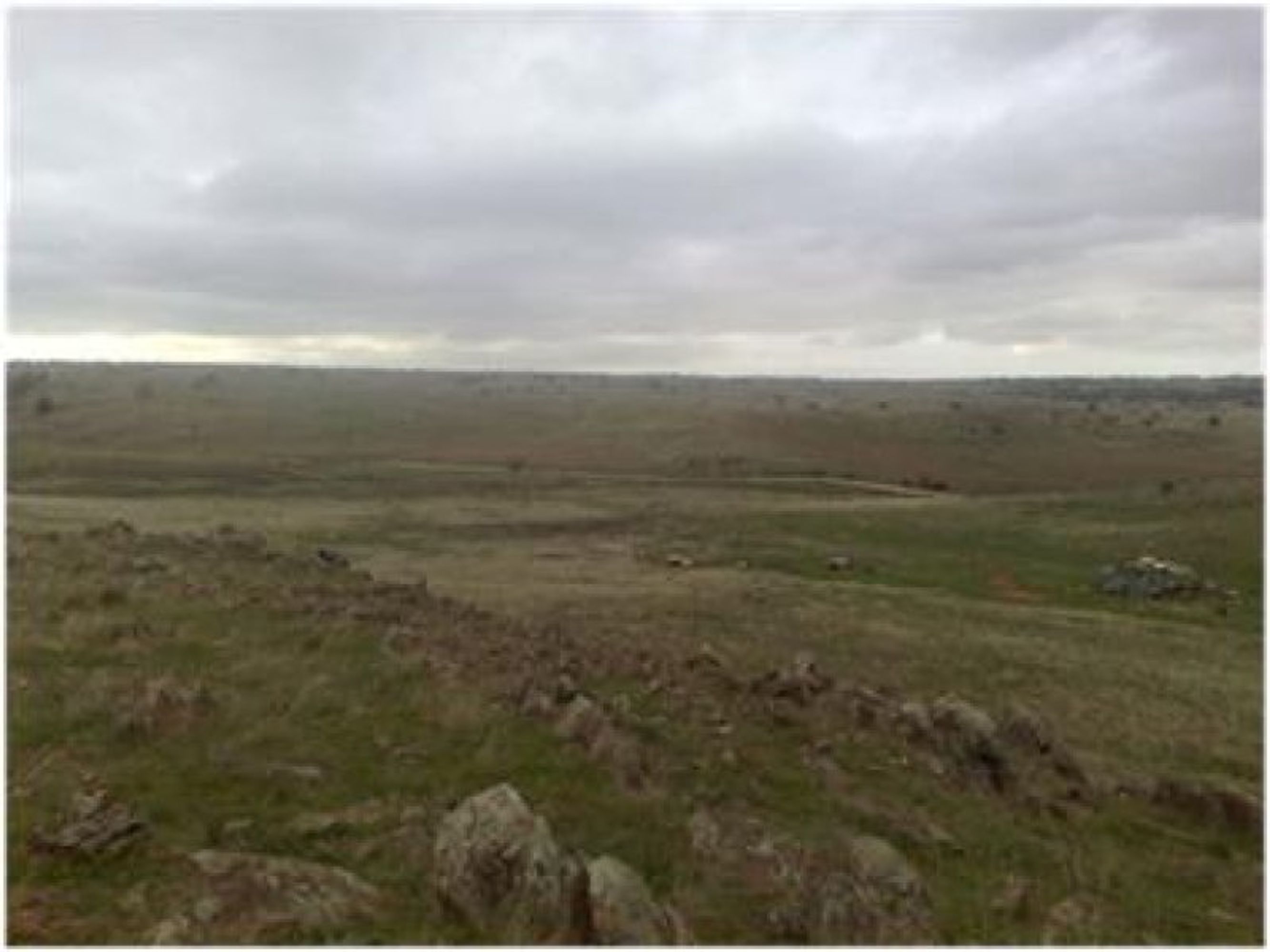 Lot 109 Rockleigh Road, Rockleigh SA 5254, Rockleigh - Thumbnail 2