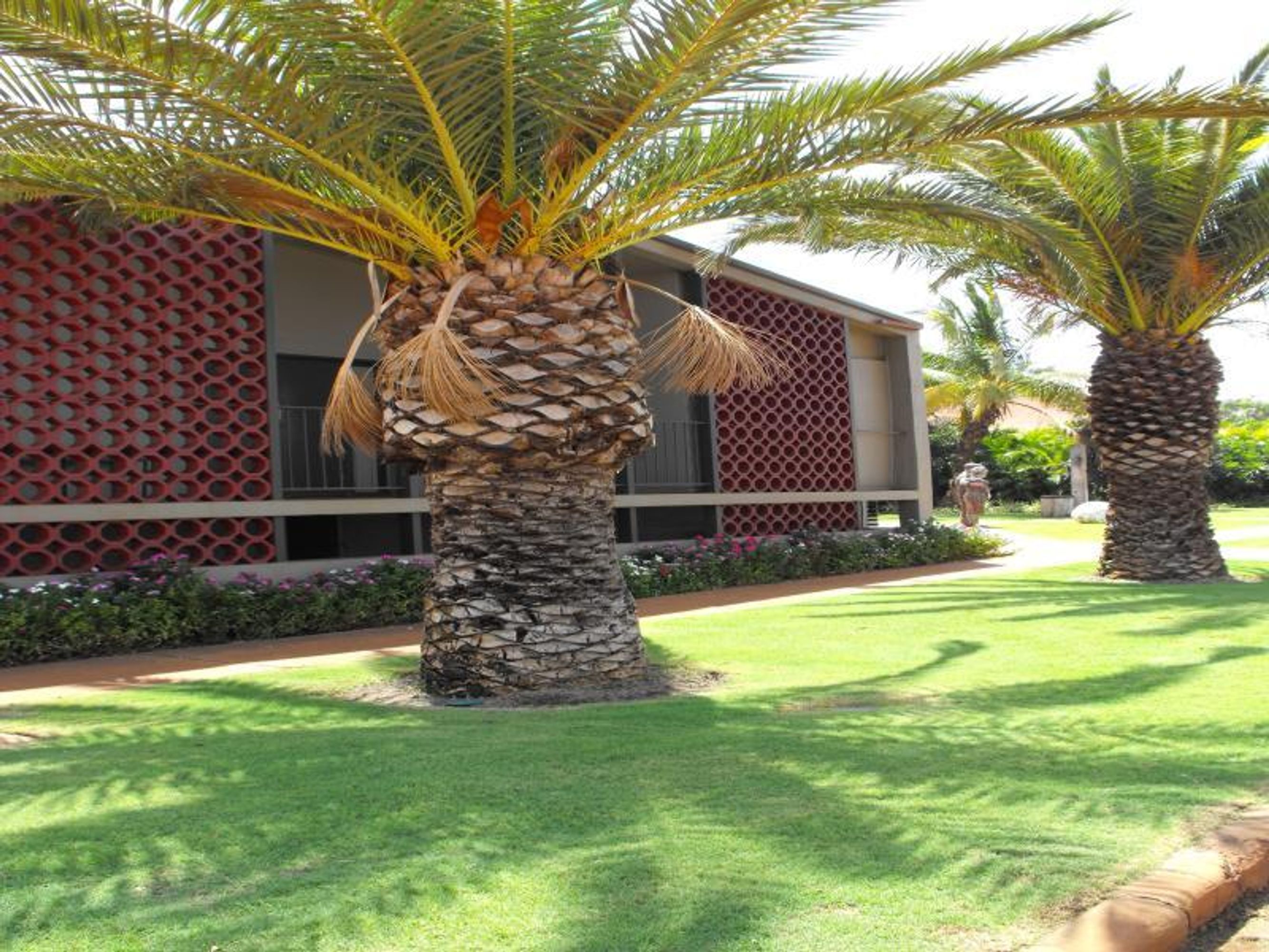 18 Edgar Street, Port Hedland, Port Hedland - Thumbnail 5