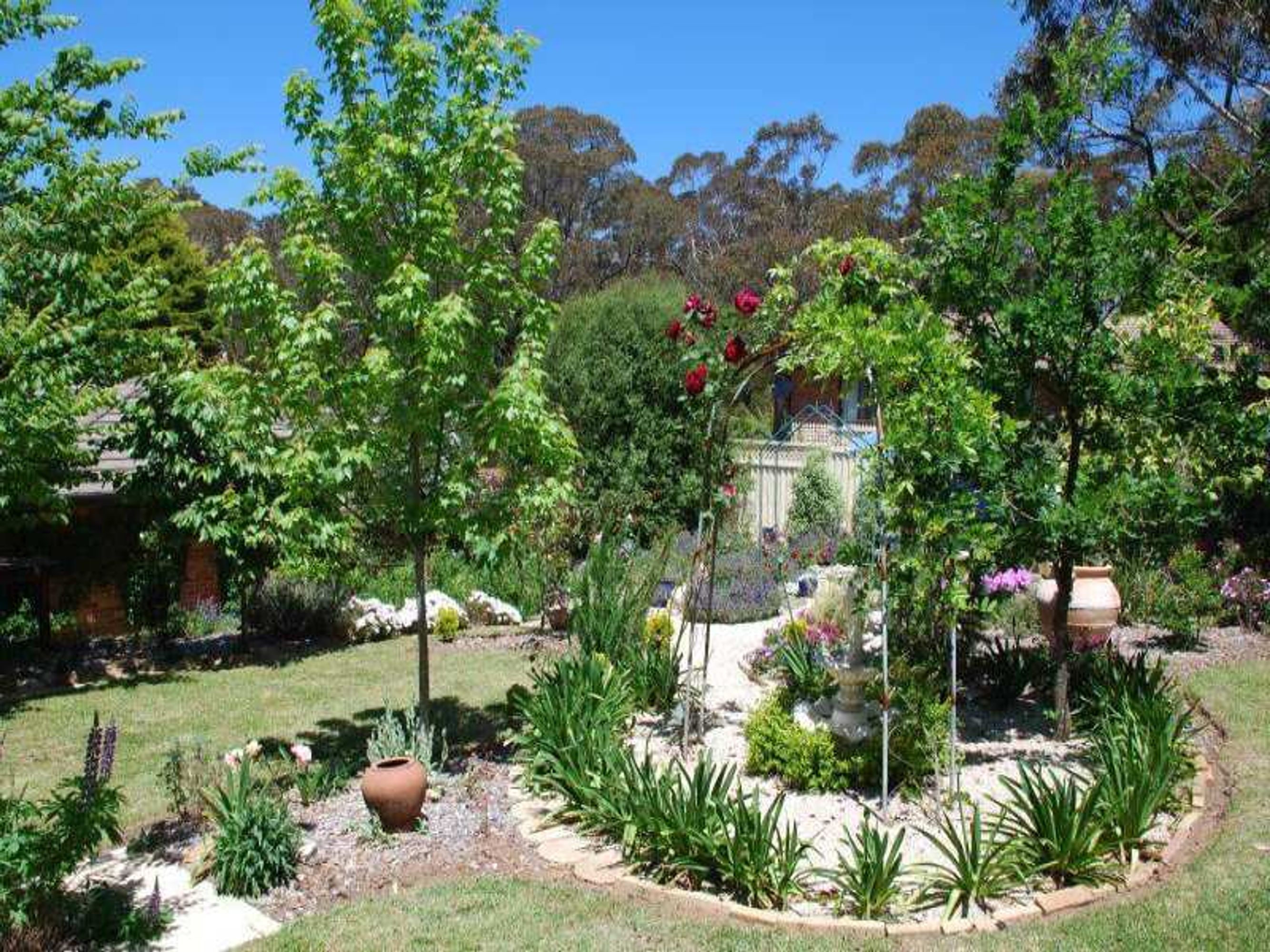307 Cliff Dr, Katoomba - Thumbnail 3