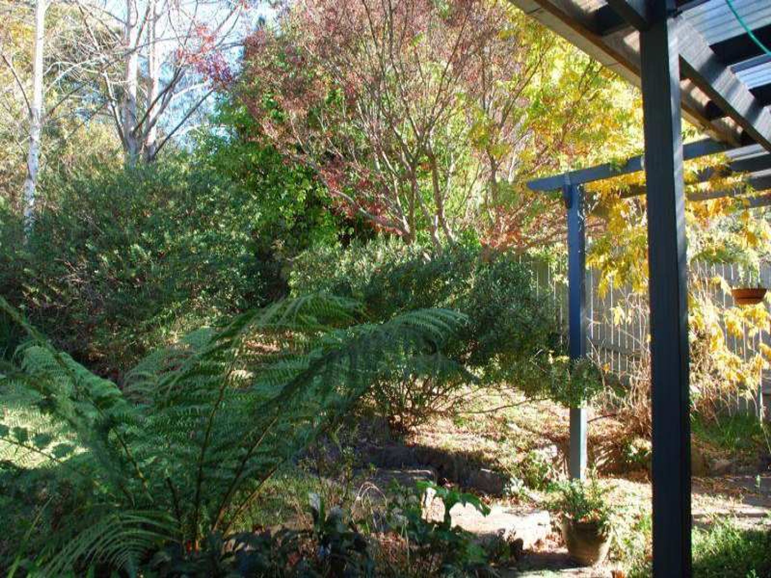 20 Rupert St, Katoomba - Thumbnail 8