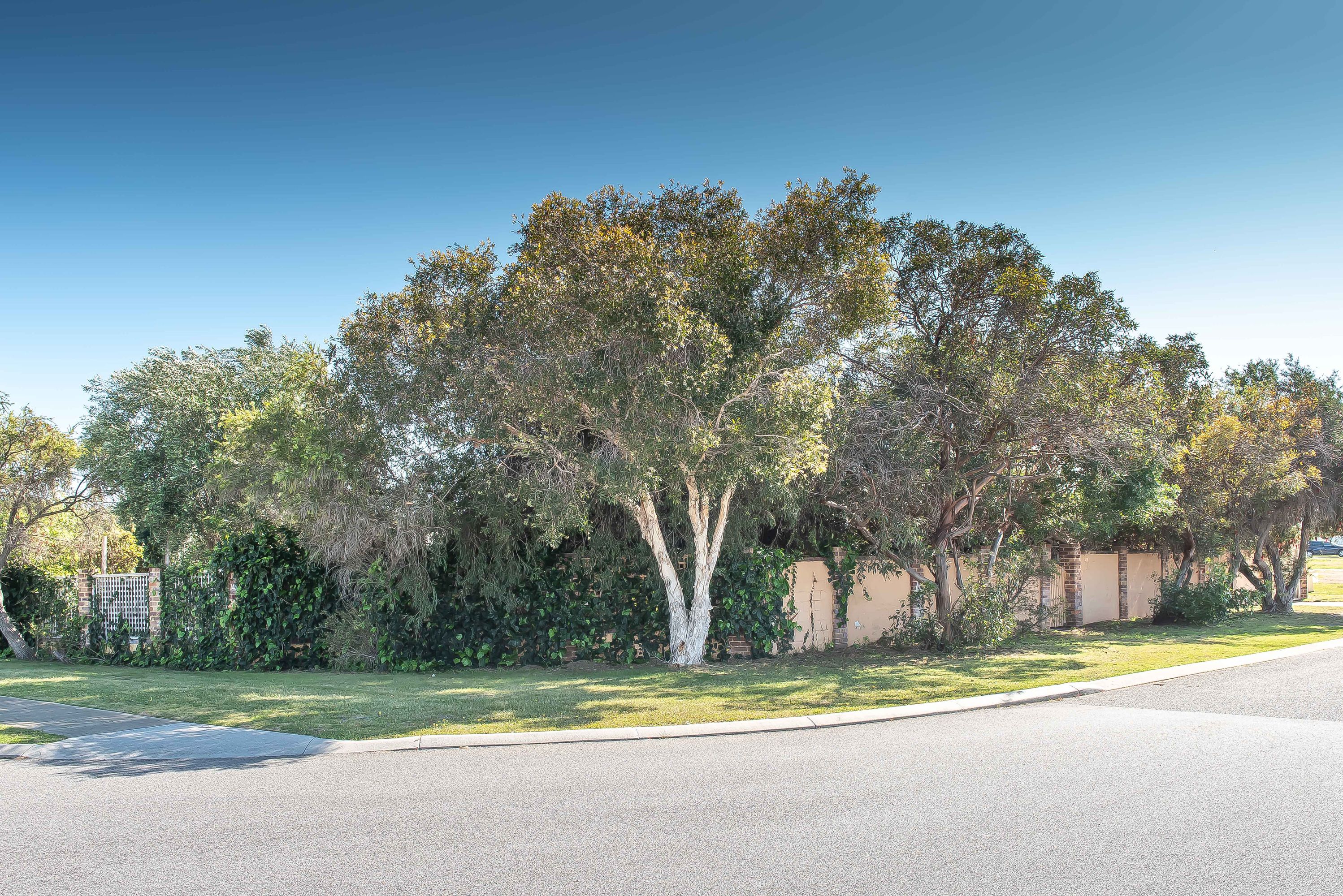 42 Sandalford Drive, Beldon - Thumbnail 4