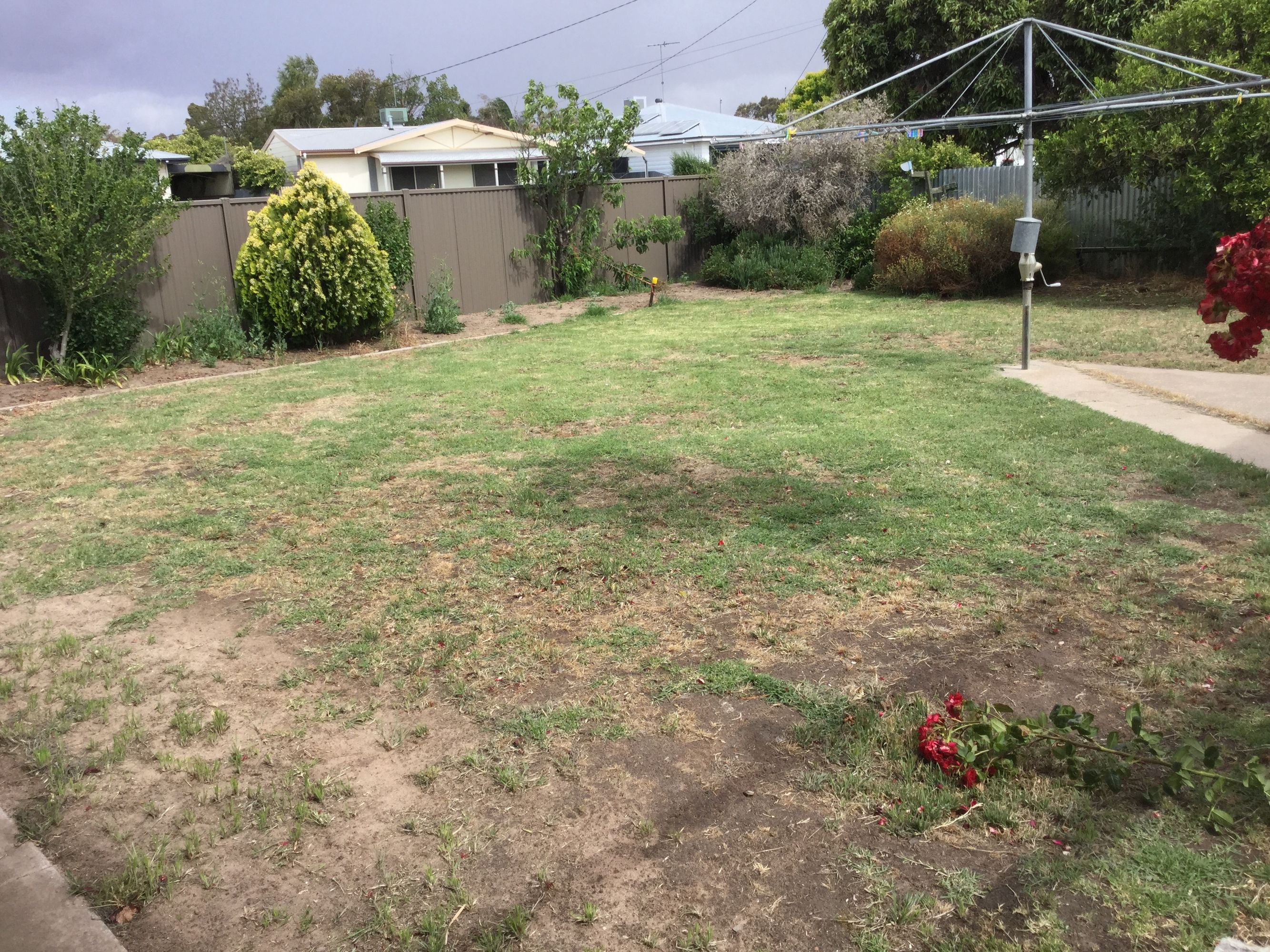 5 Laurel Street, Horsham VIC 3400, Horsham - Thumbnail 6
