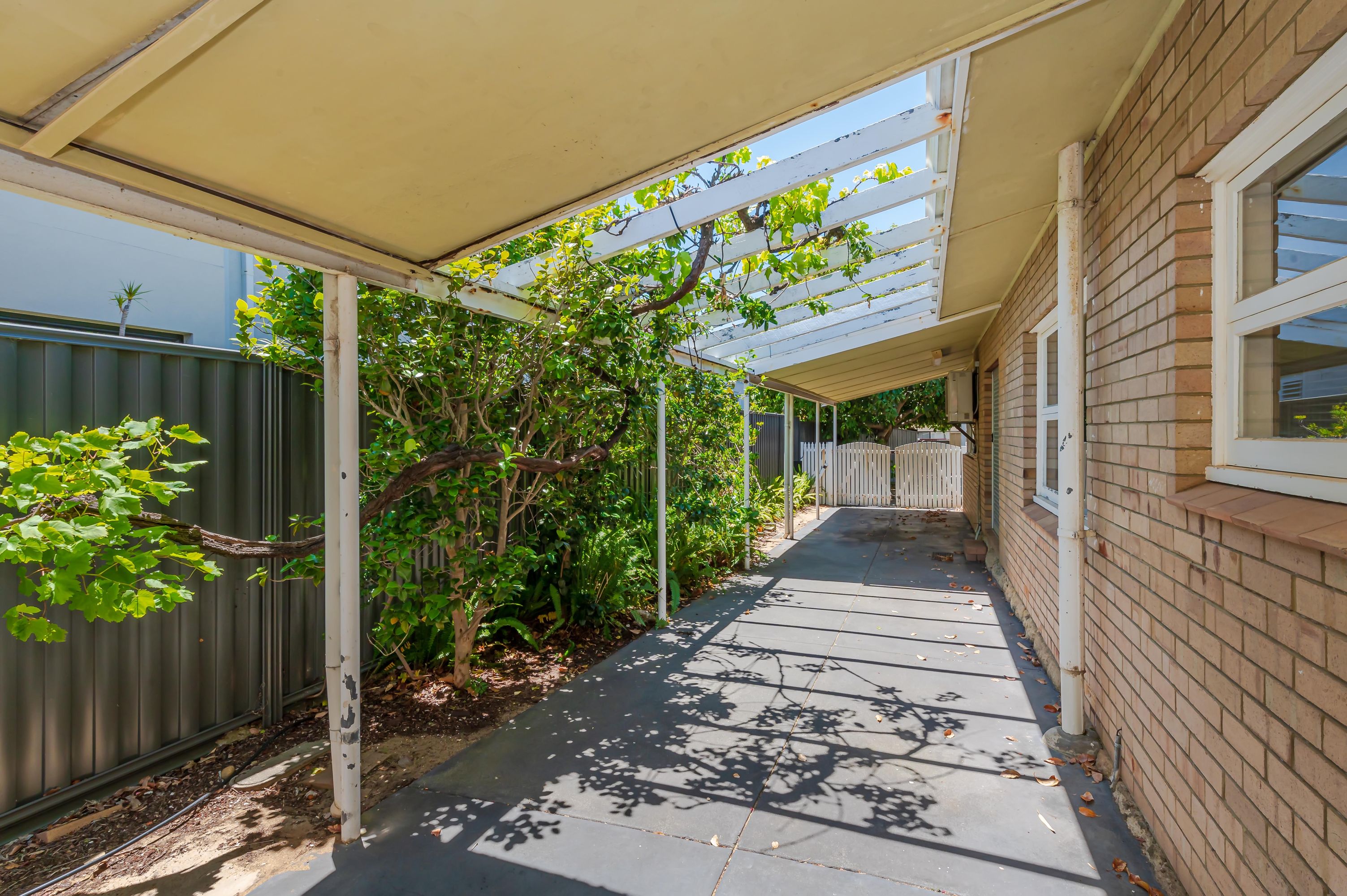 202 Herbert Street, Doubleview - Thumbnail 2