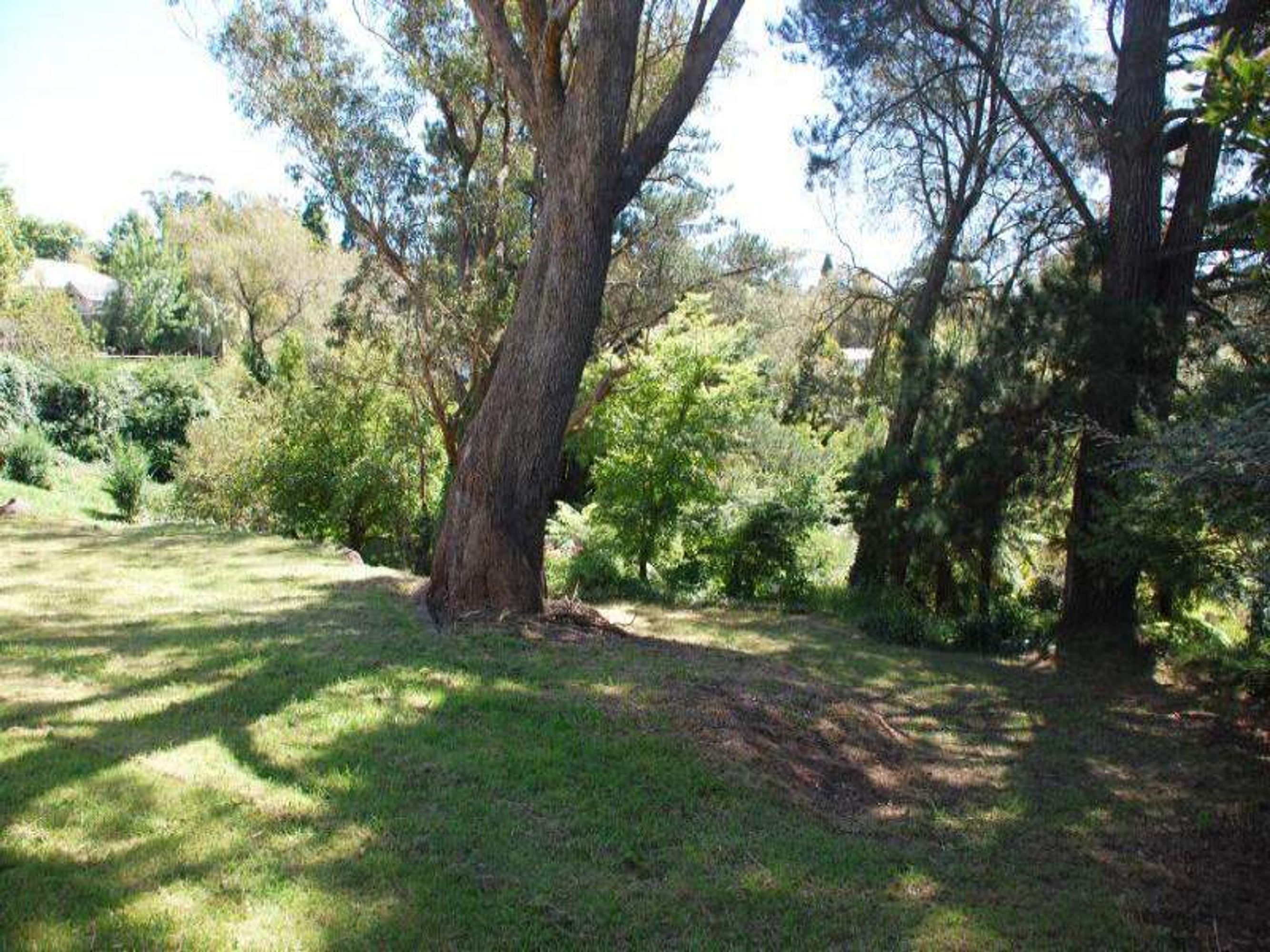 4 Warne St, Katoomba - Thumbnail 3