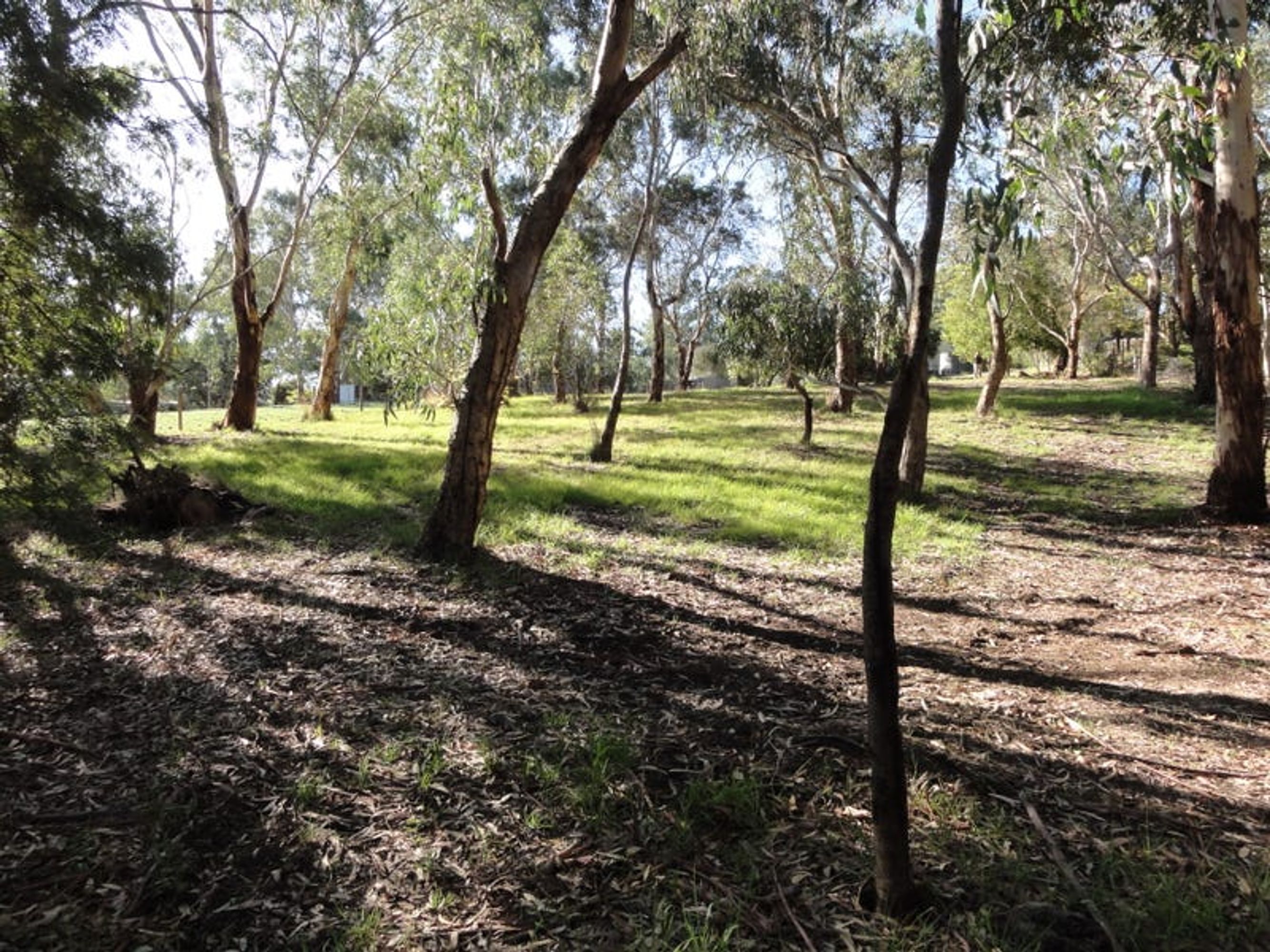 28 Marianna Street, Echunga, SA 5153, Echunga - Thumbnail 3
