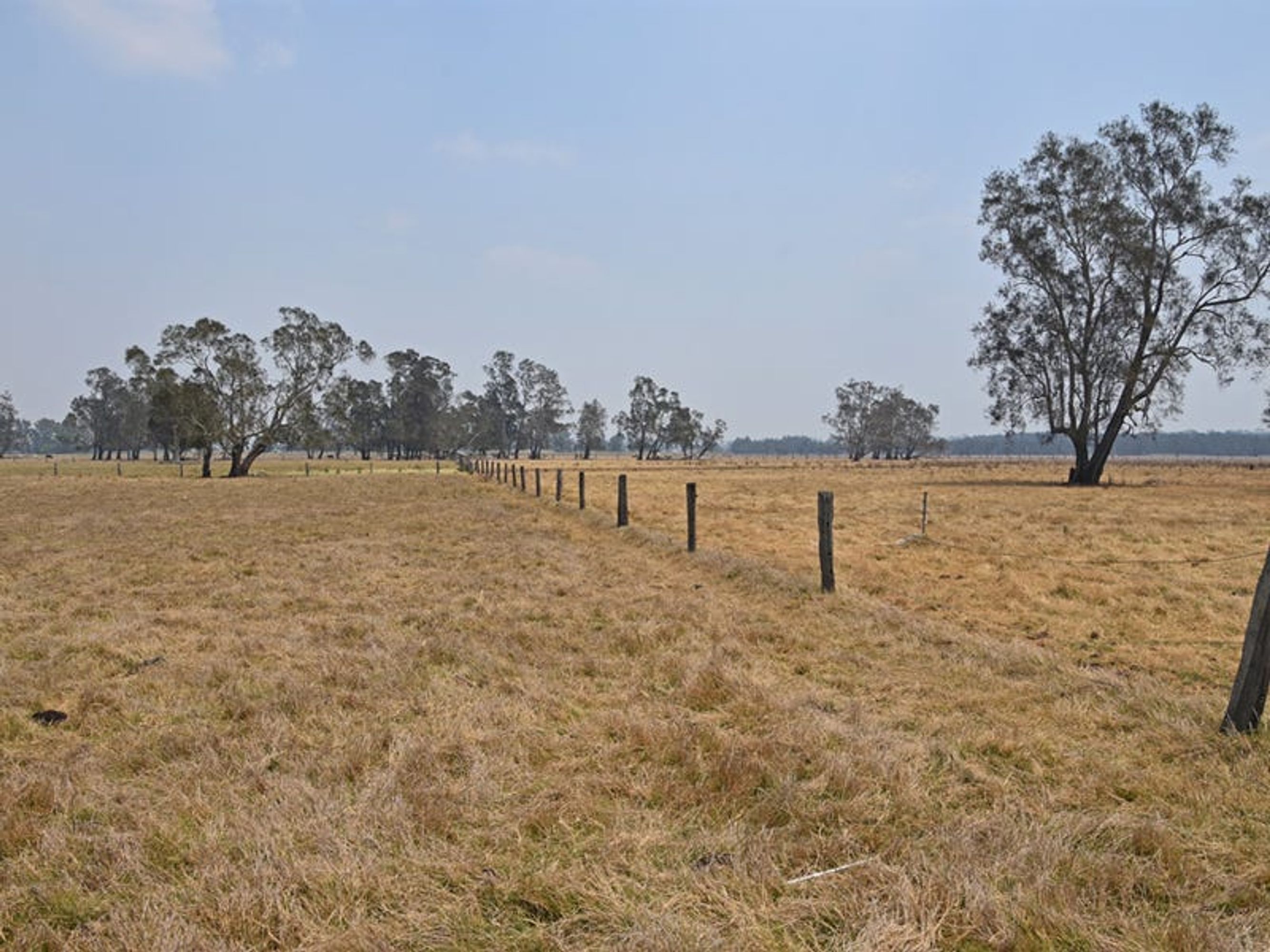 Lot 3 Sportsmans Creek Road, Lawrence - Thumbnail 8