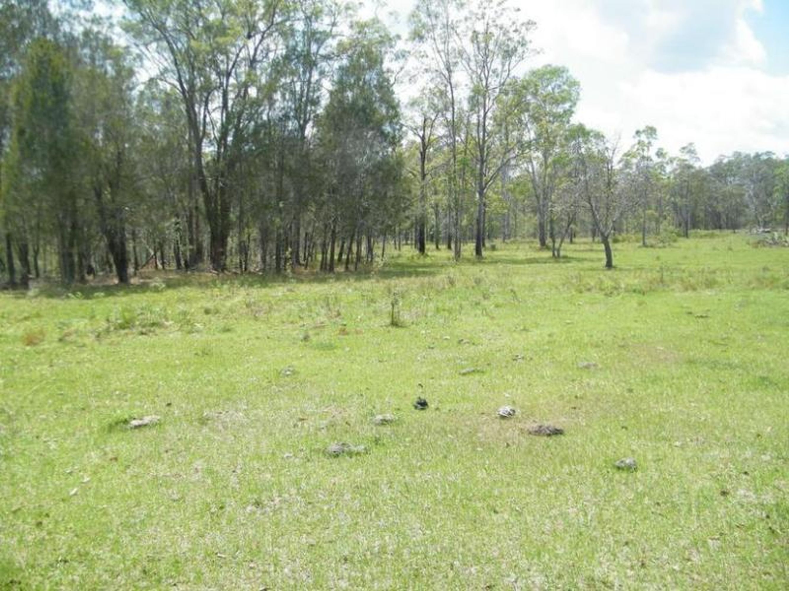 335/335/Lot 335, 450 Greberts Road, Whiteman Creek - Image 1