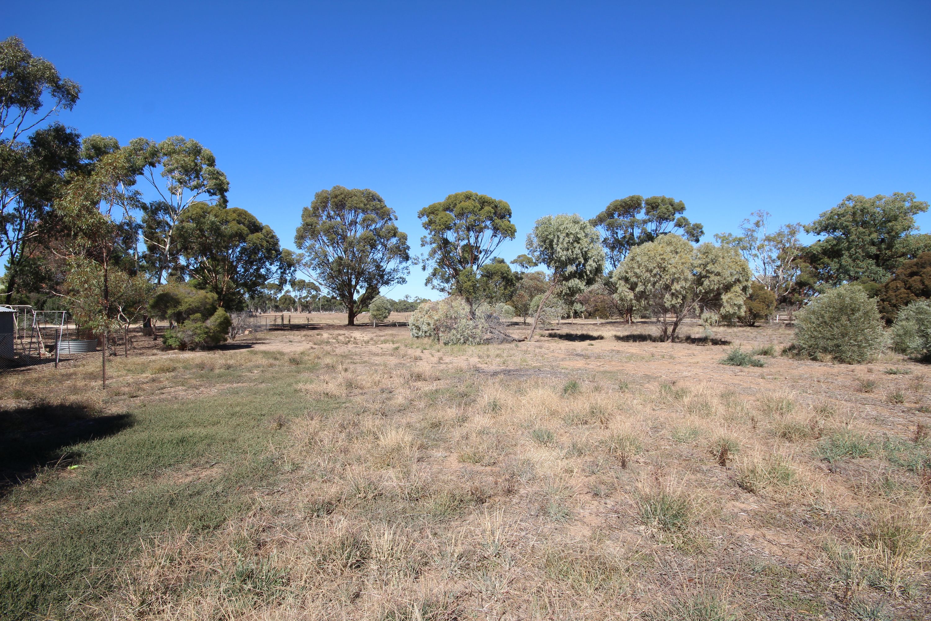 3 McIntosh Avenue, Rupanyup VIC 3388, Rupanyup - Thumbnail 5