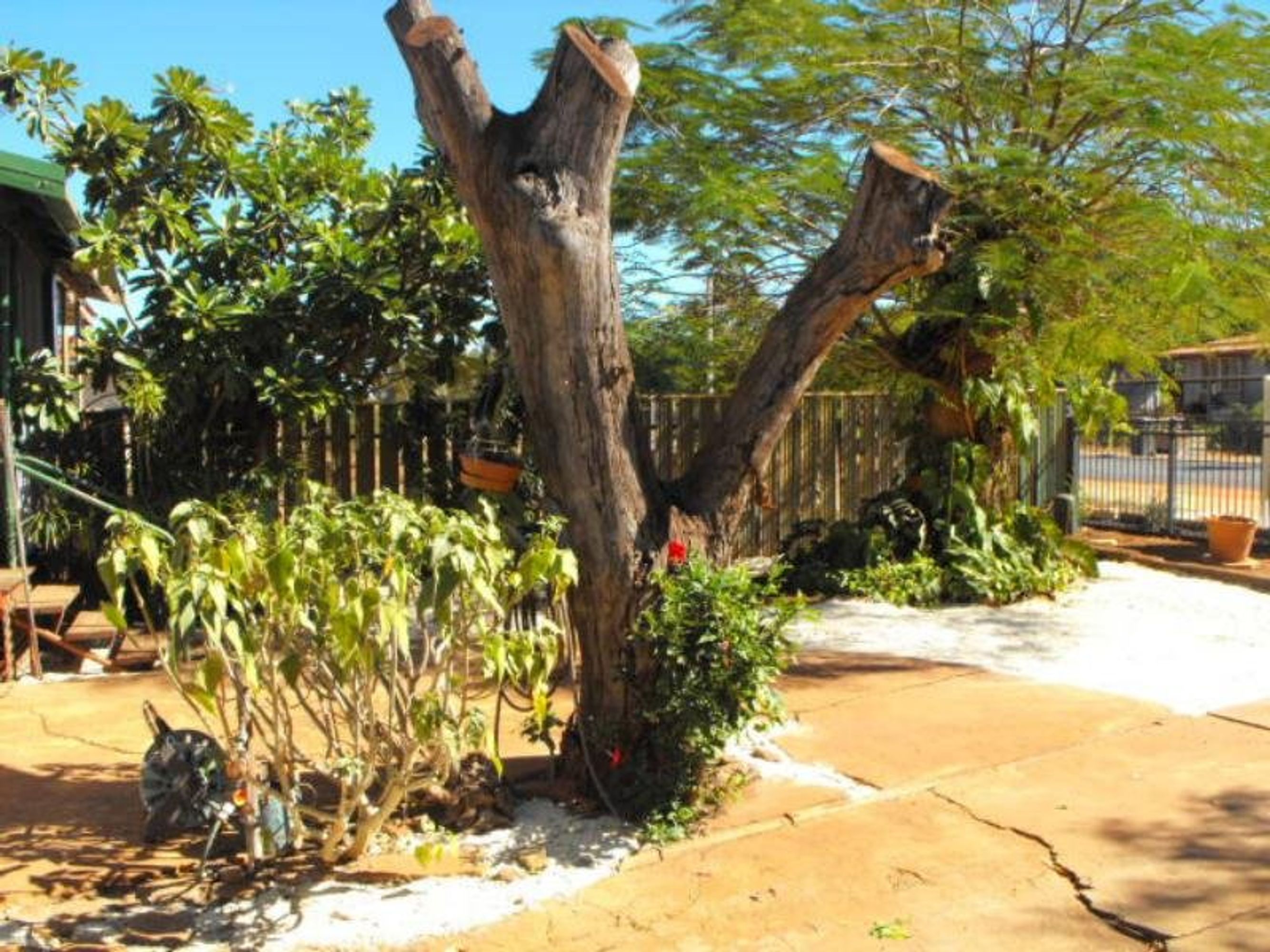 46A Moore Street, Port Hedland, Port Hedland - Thumbnail 2