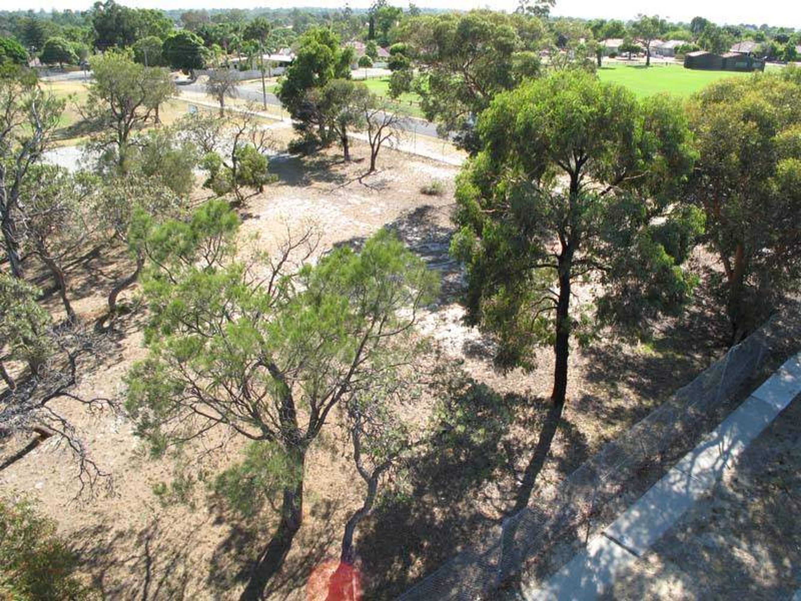 22 Fernhurst Crescent, Balga - Thumbnail 7