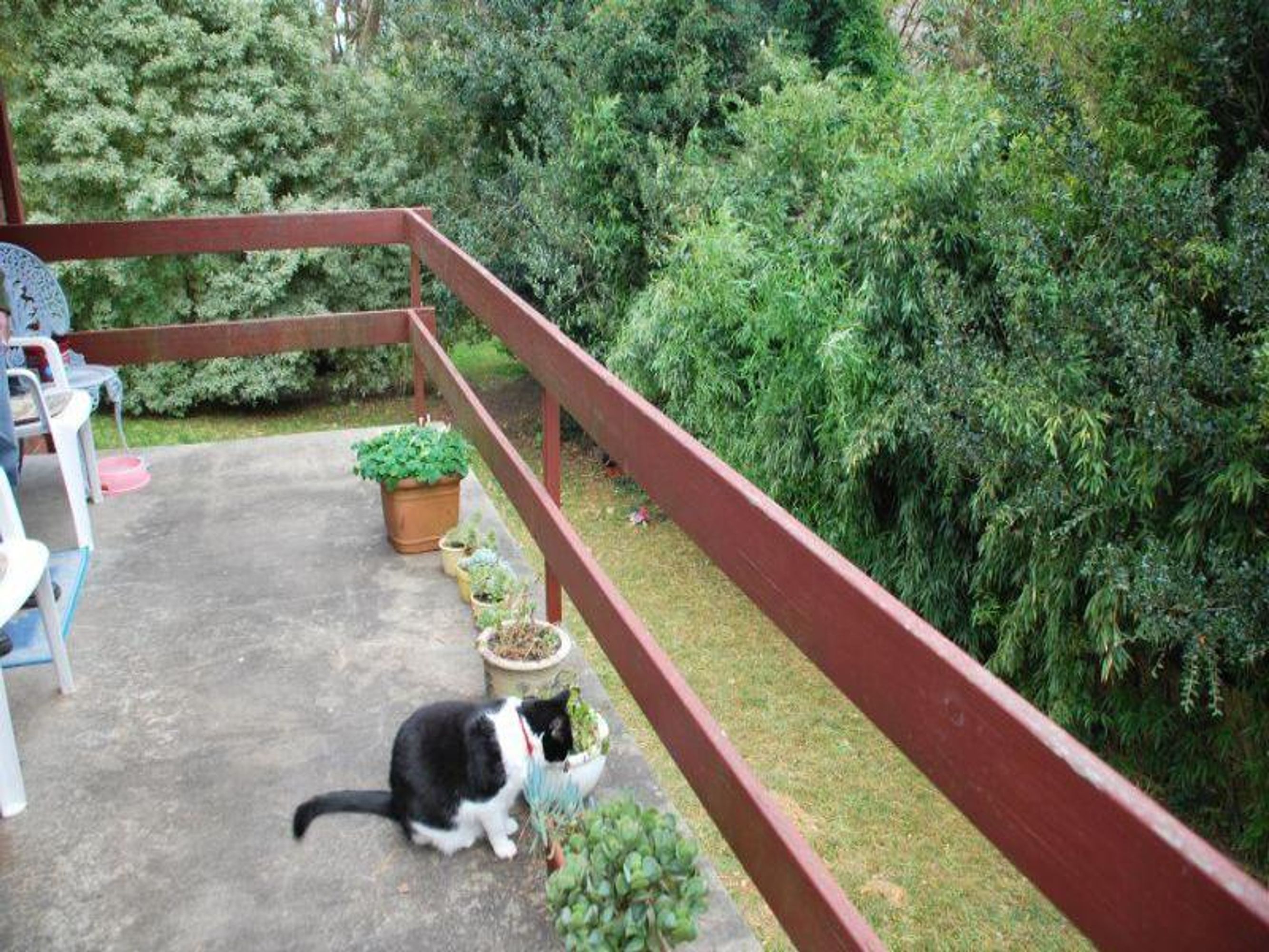 34 Merriwa St, Katoomba - Thumbnail 4