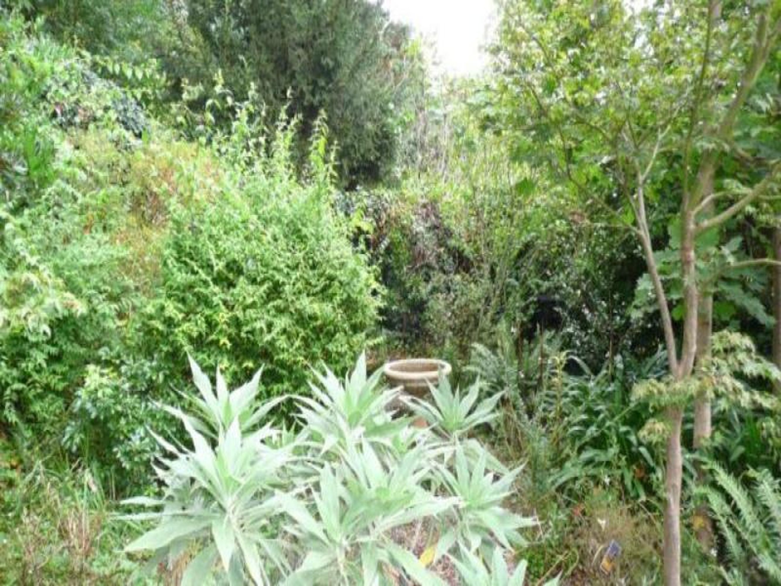 4 William St, Katoomba - Thumbnail 2
