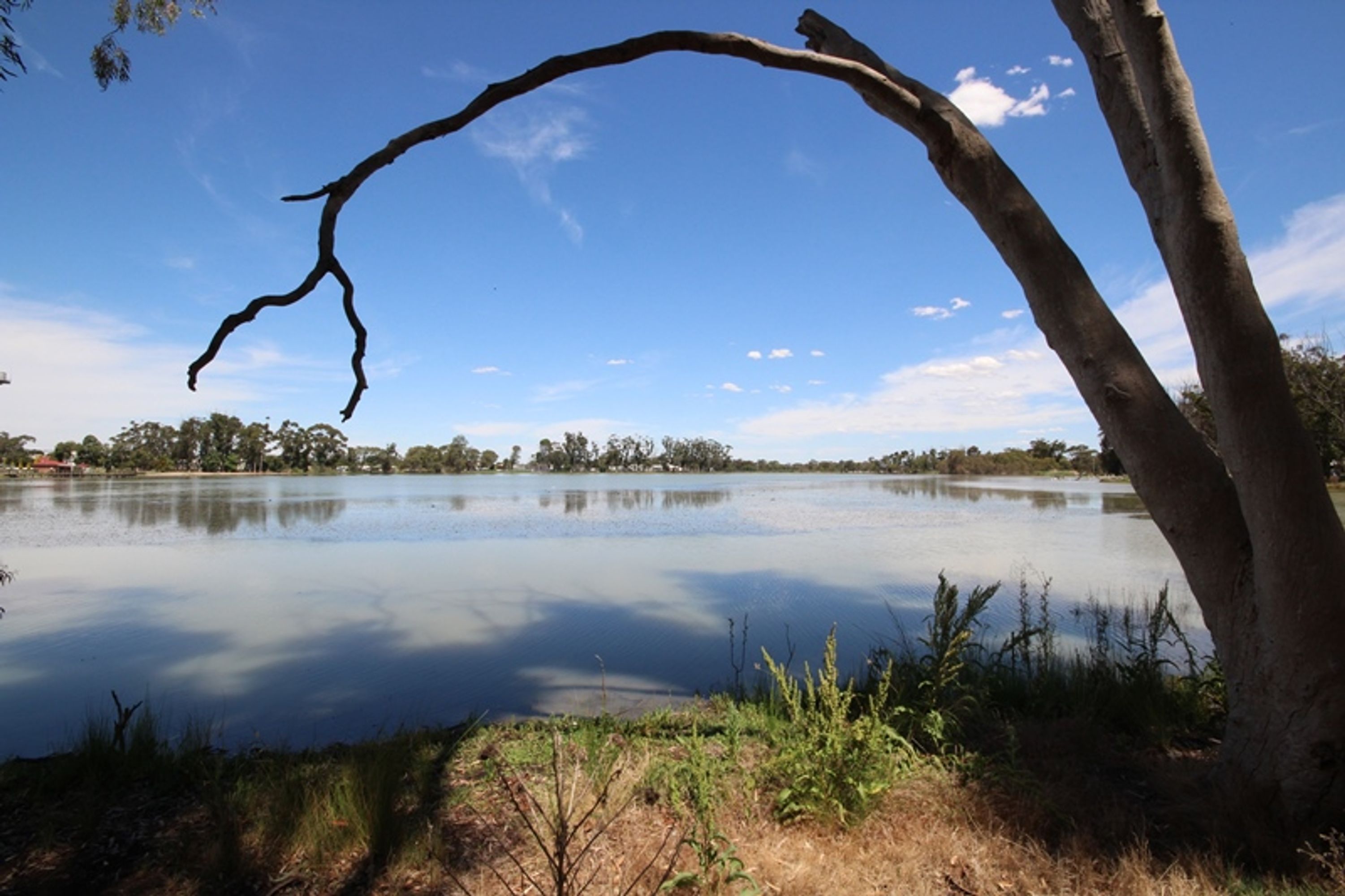 36 McClintock Street, Murtoa VIC 3390, Murtoa - Thumbnail 6