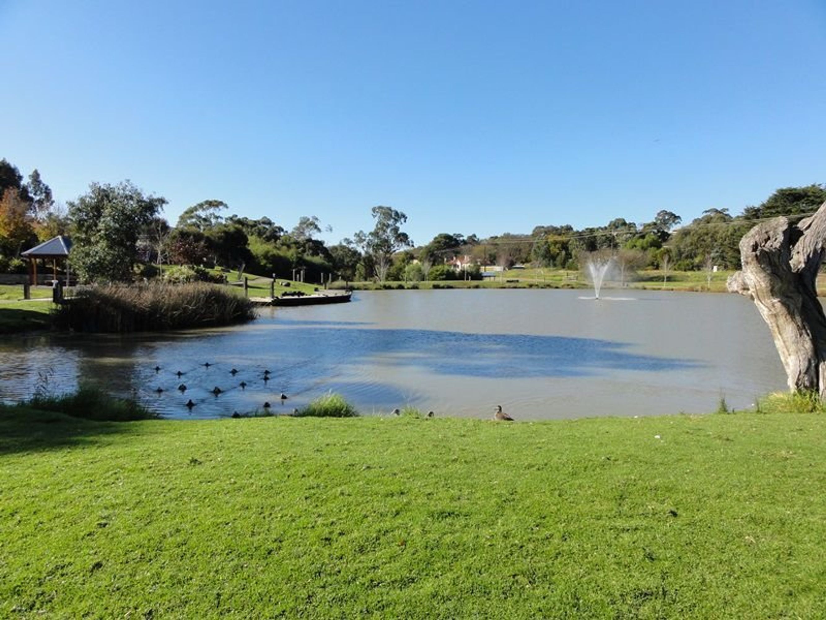 403 Forbidden, Nairne - Thumbnail 8