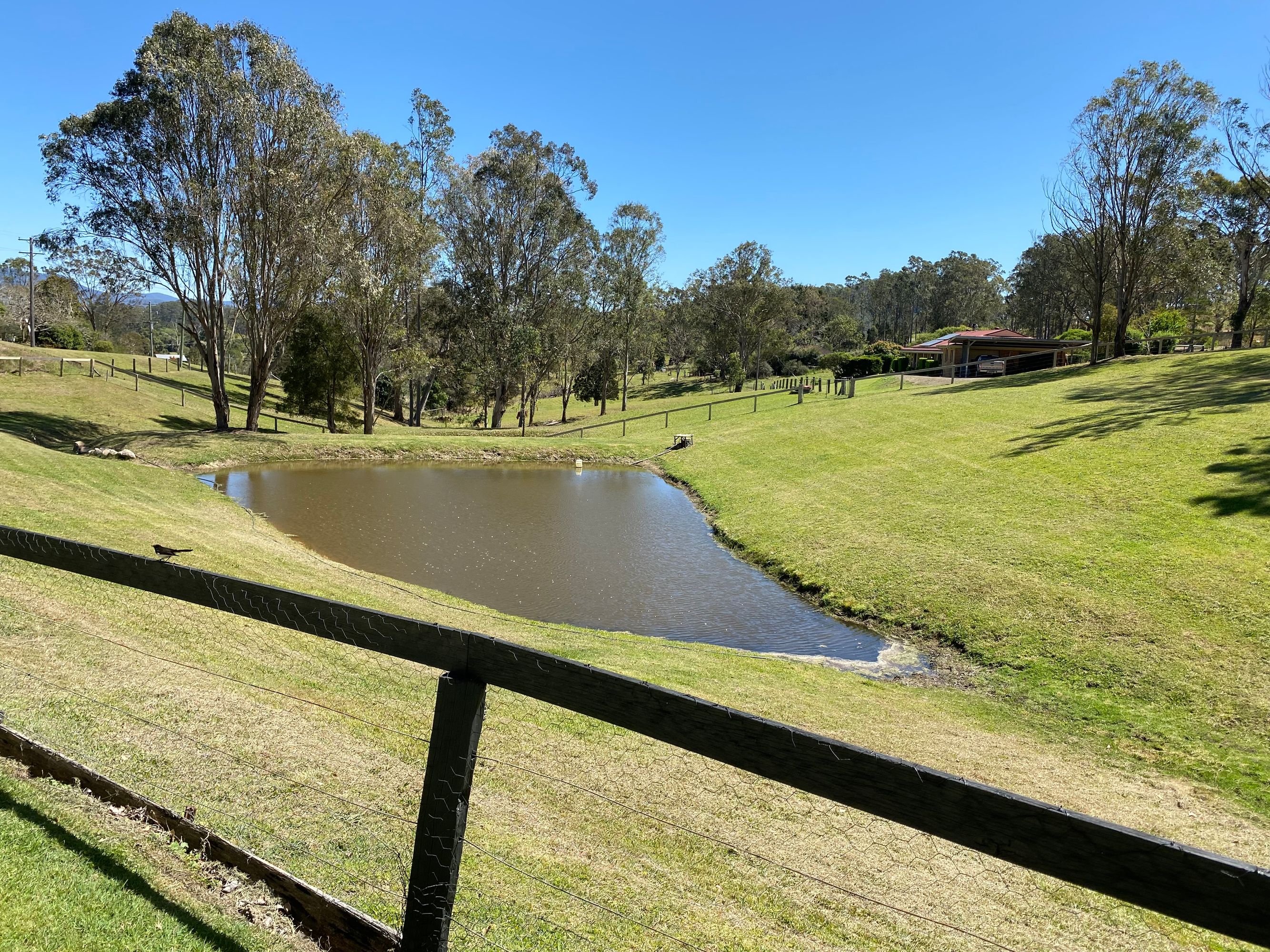 3 Phillip Close, Wingham, Wingham - Thumbnail 8