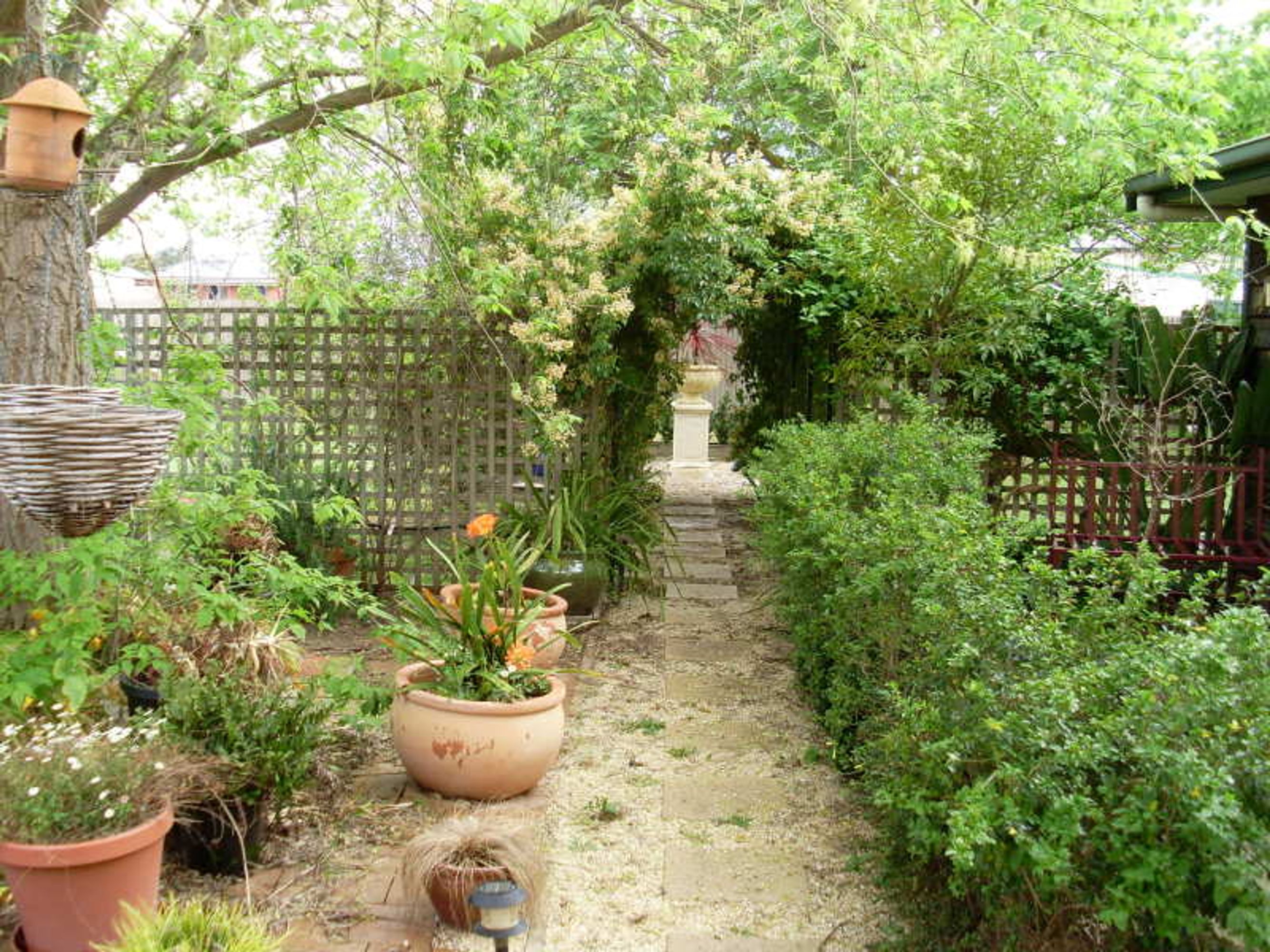 33 Williams Road, Horsham VIC 3400, Horsham - Thumbnail 8