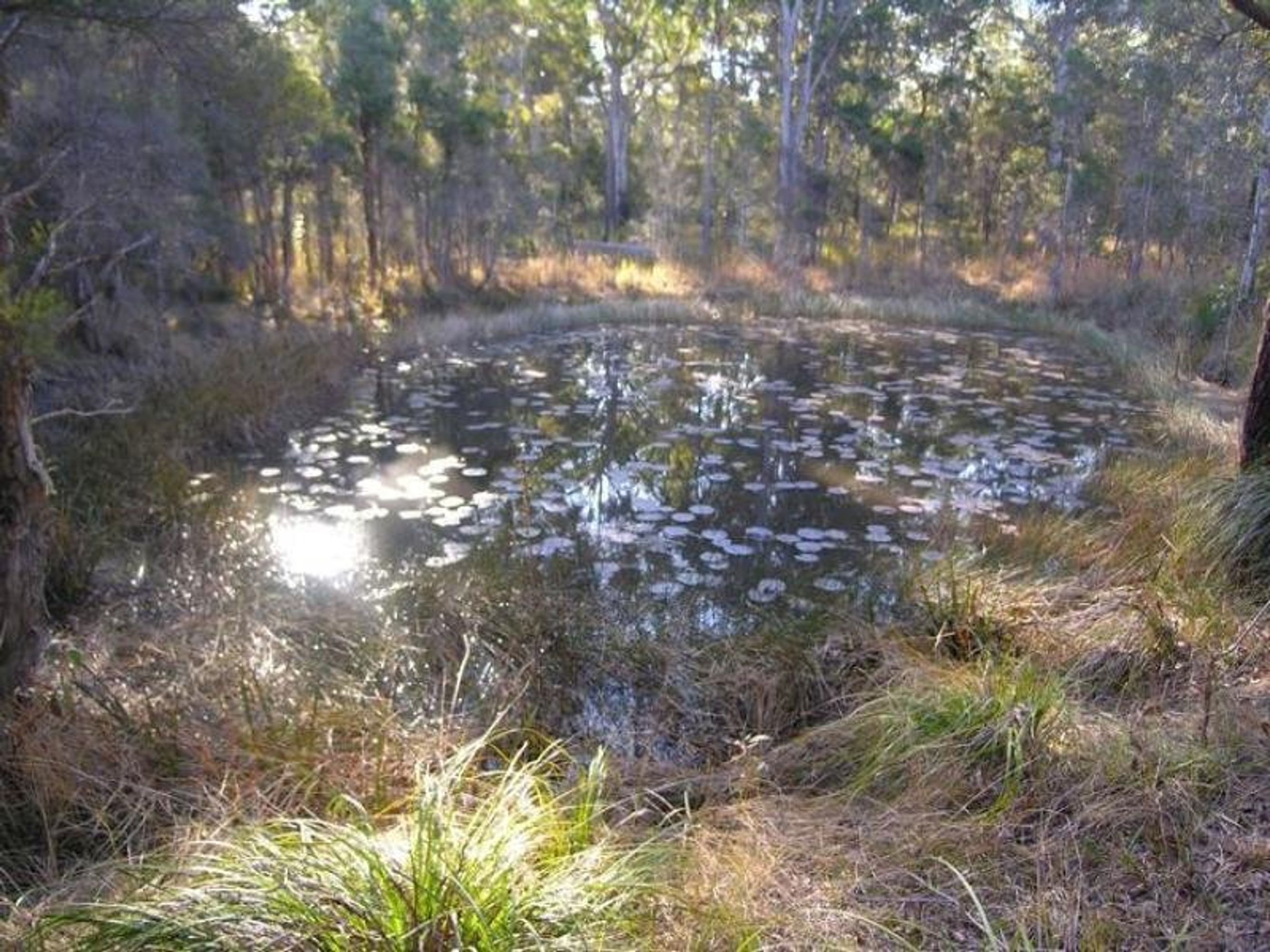 Lot 43/Lot 43/43 Burragan Road, Kangaroo Creek - Thumbnail 3