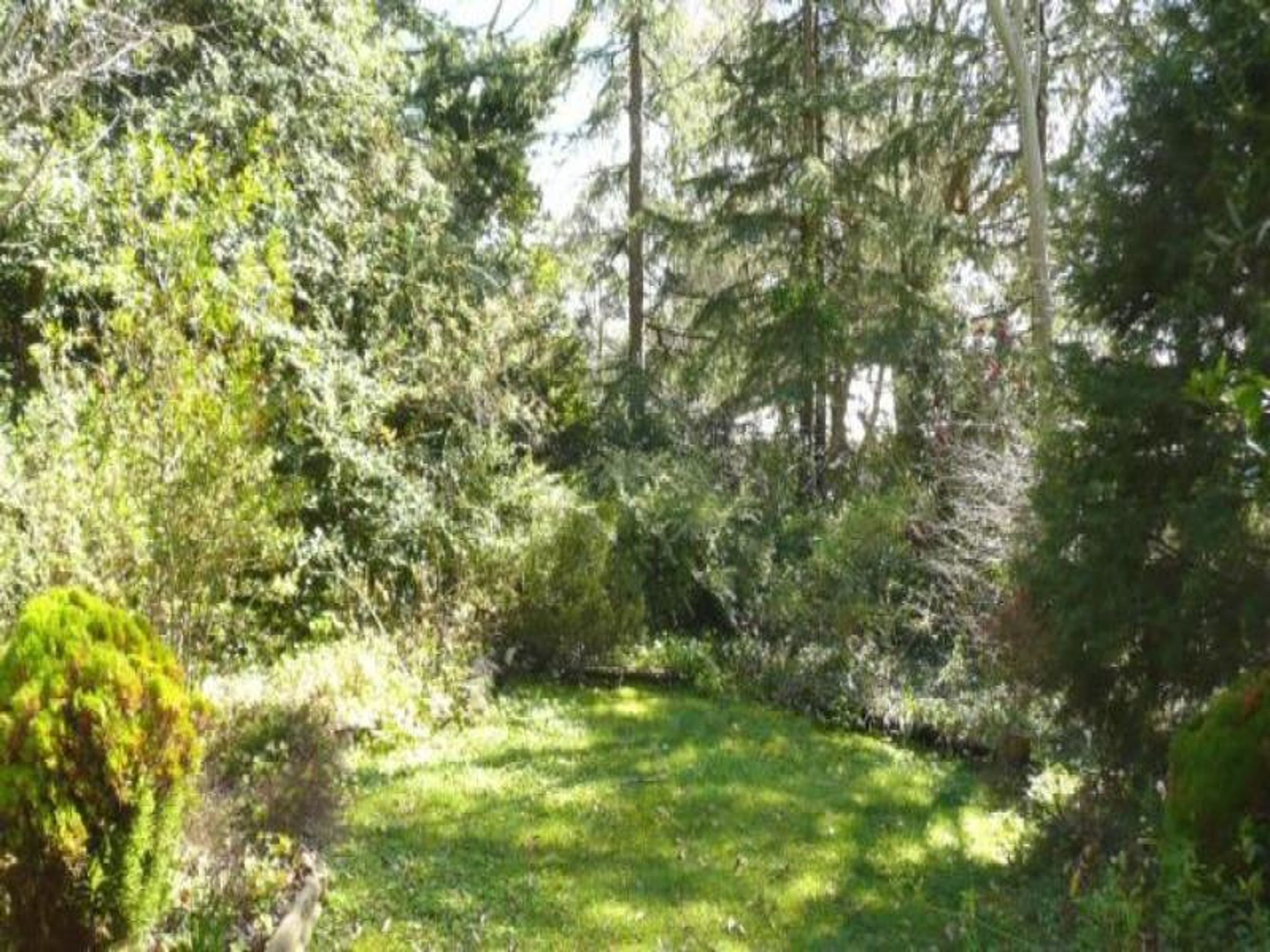 5 Fitzgerald St, Katoomba - Thumbnail 3